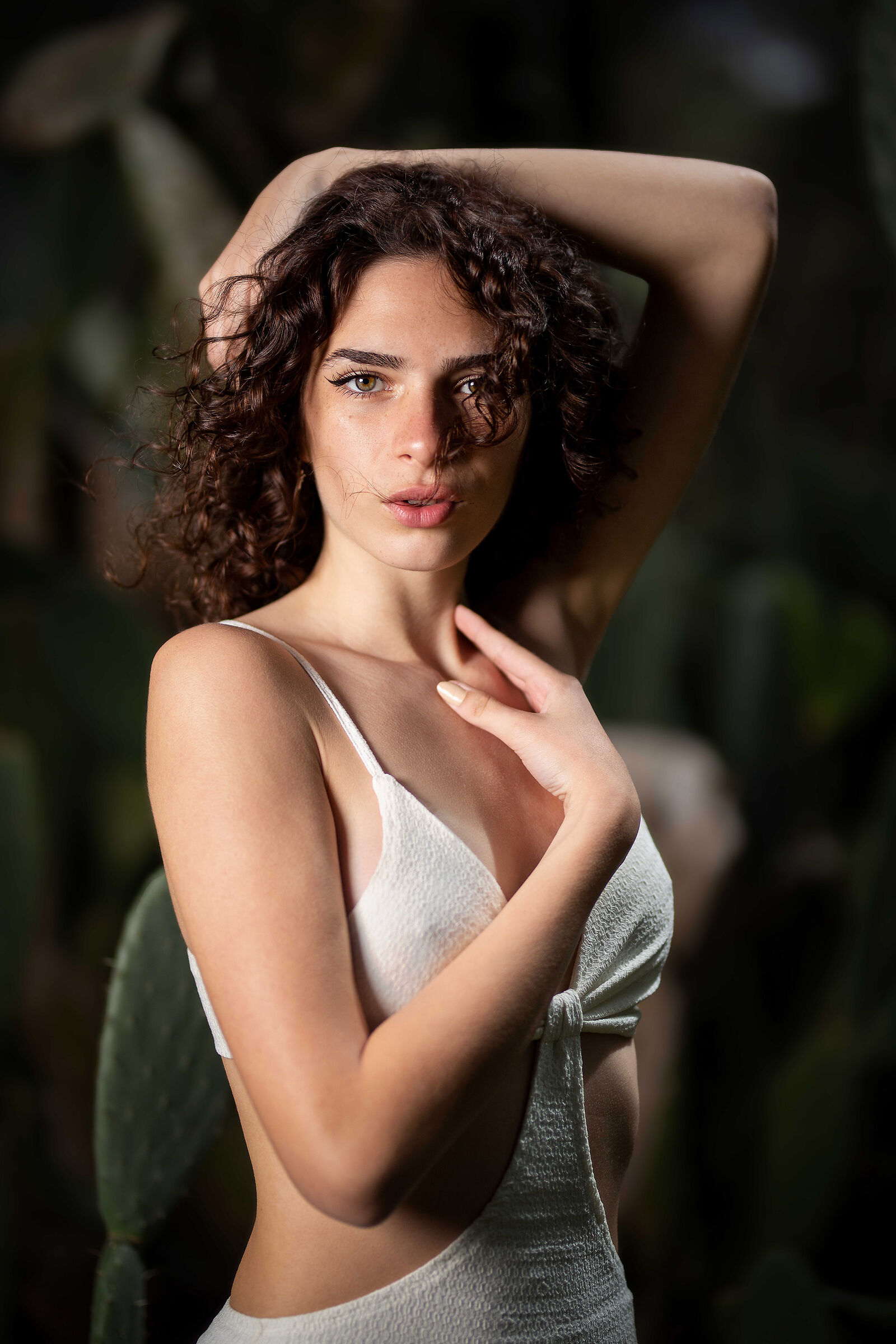 Angelica