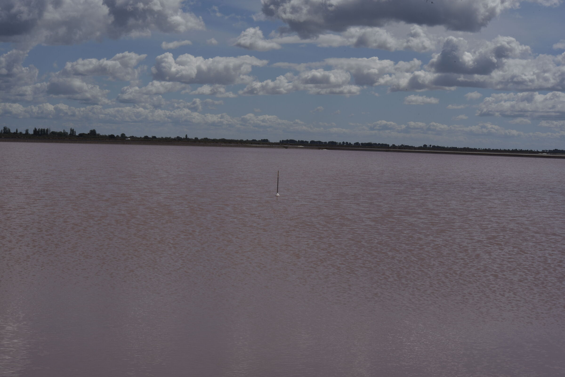 Aigues Mortes - Saline