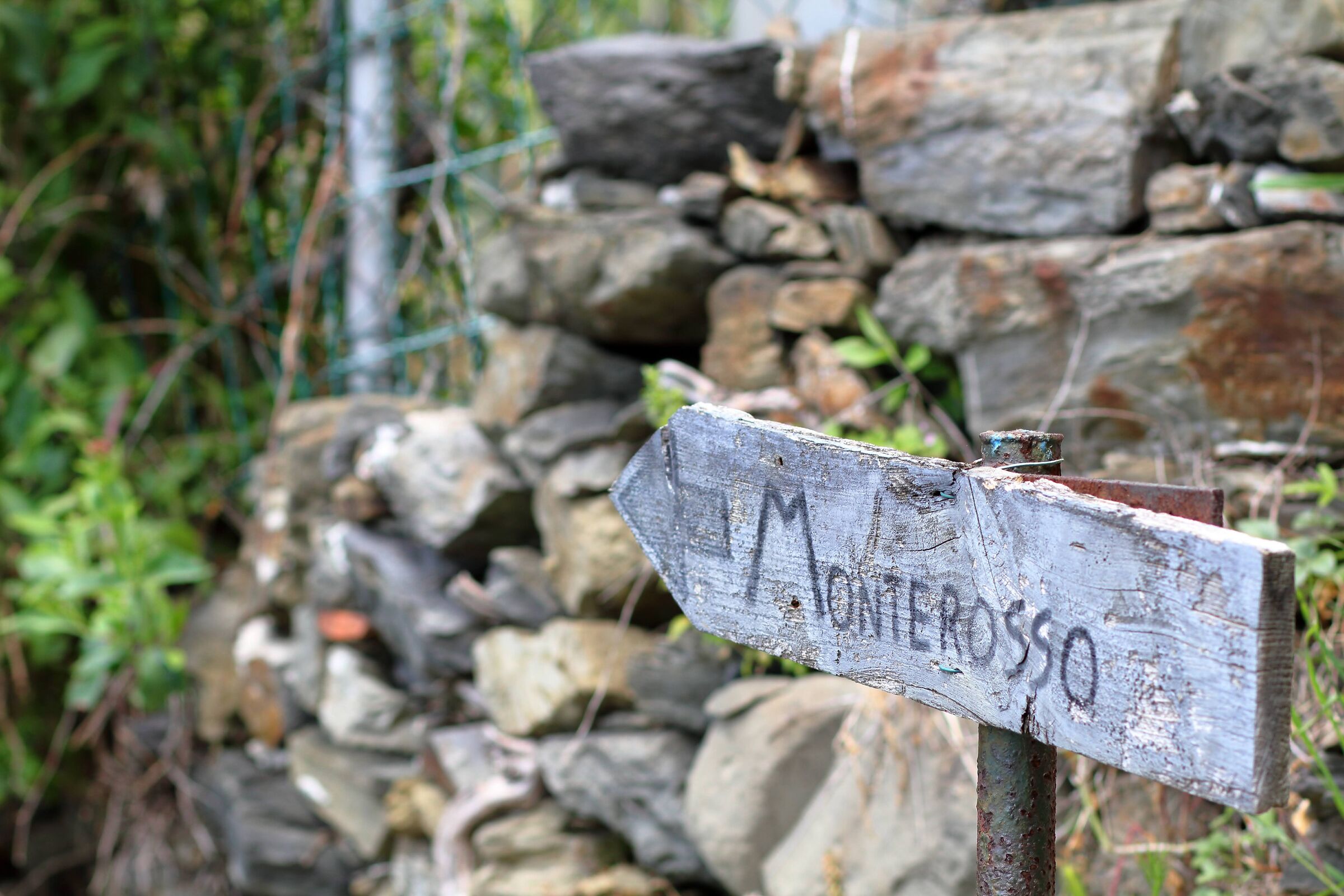 Detail on the trail