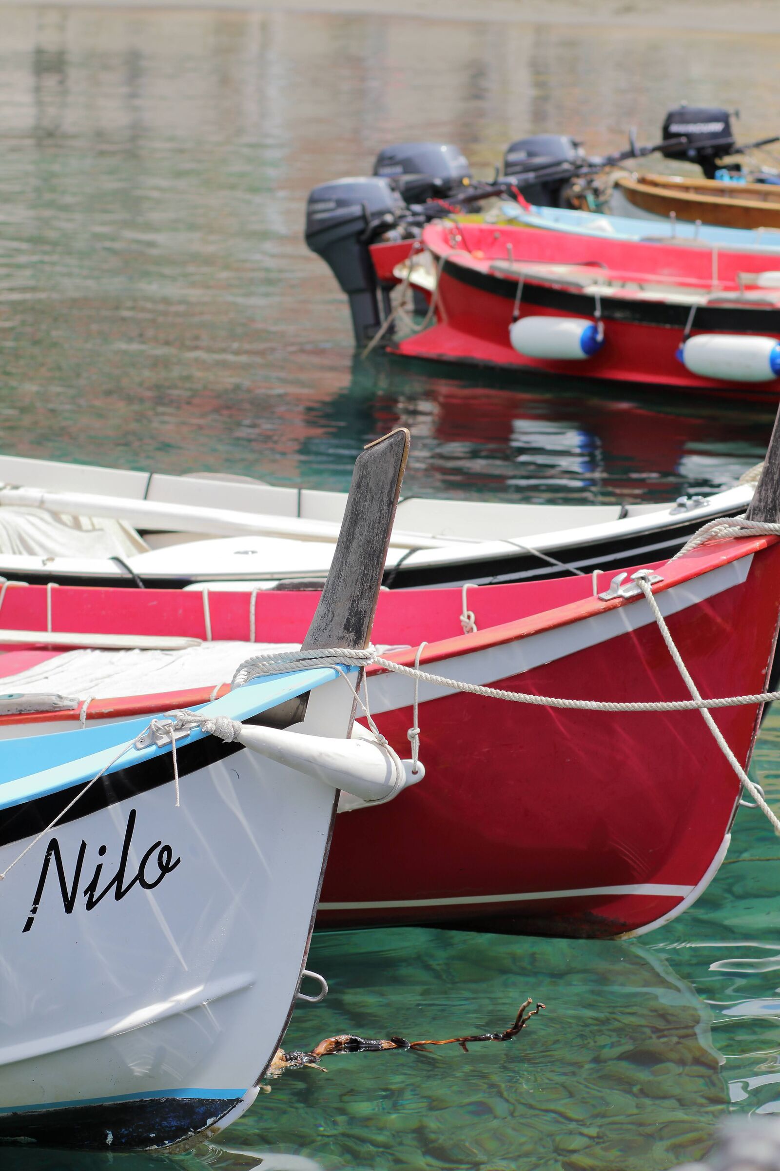 Detail of the small port of Vernazza