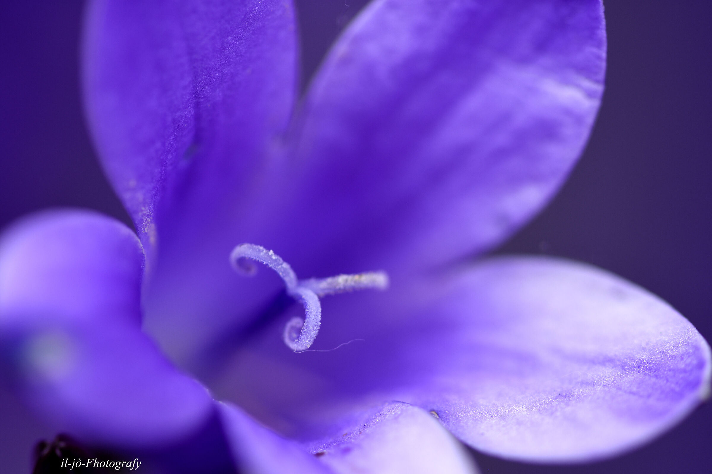Untitled Photo