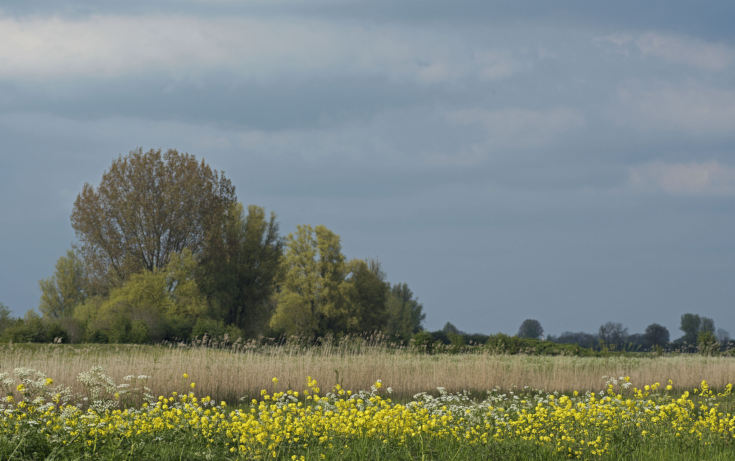 Spring