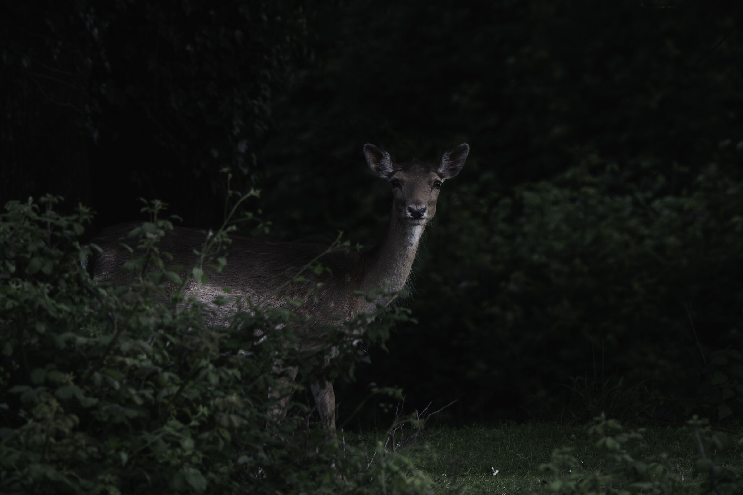 Untitled Photo