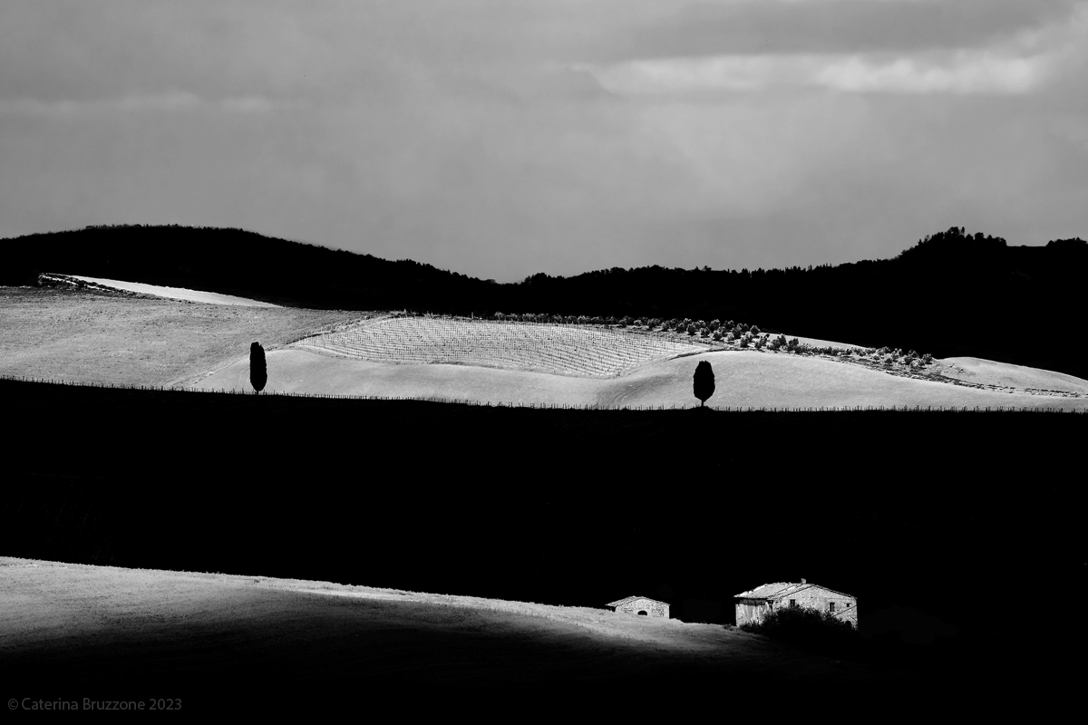 Sentinels