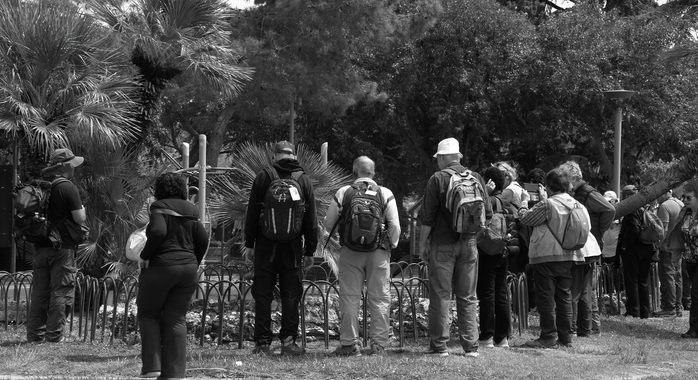 The eternal charm of goldfish