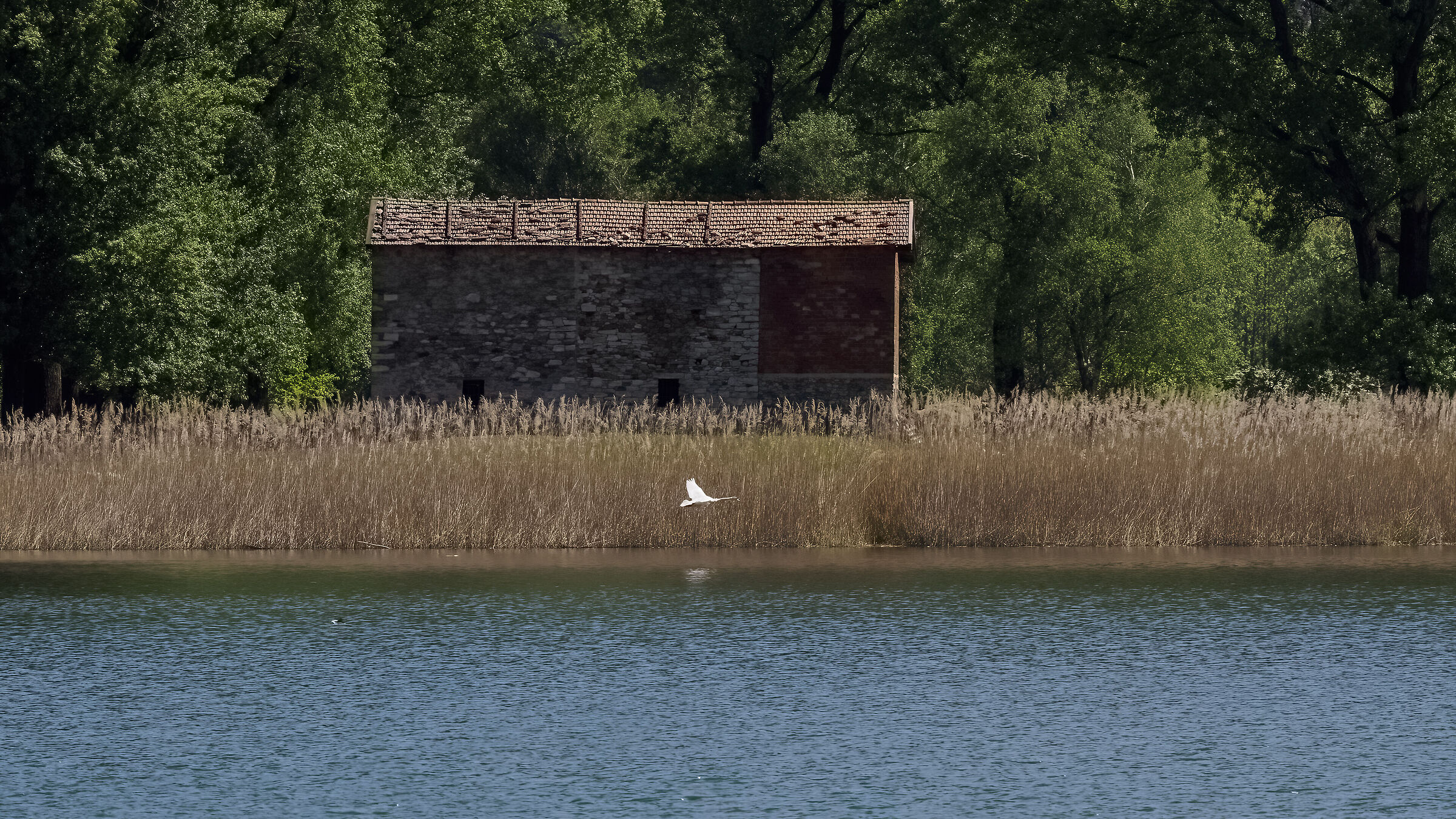 The cottage