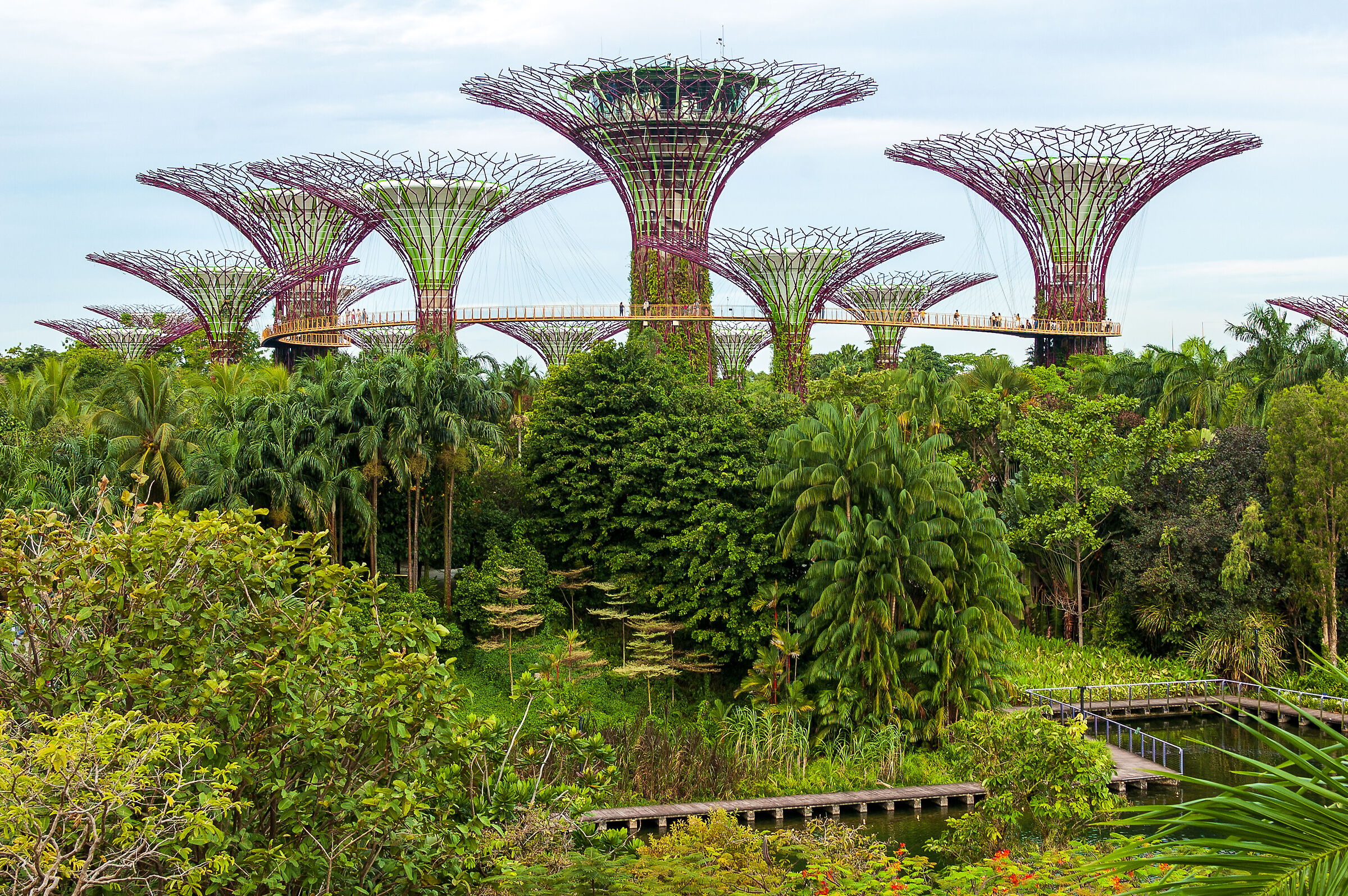 Singapore - Alberi della Vita