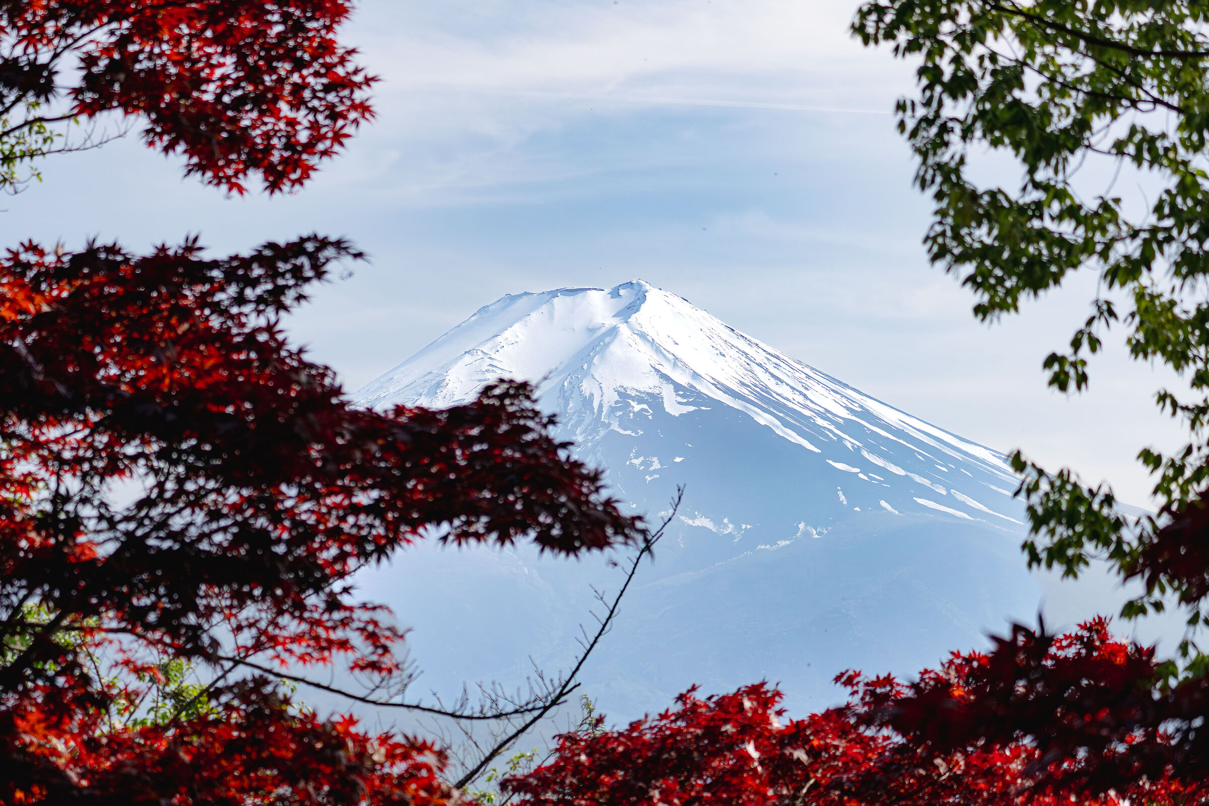 Fuji