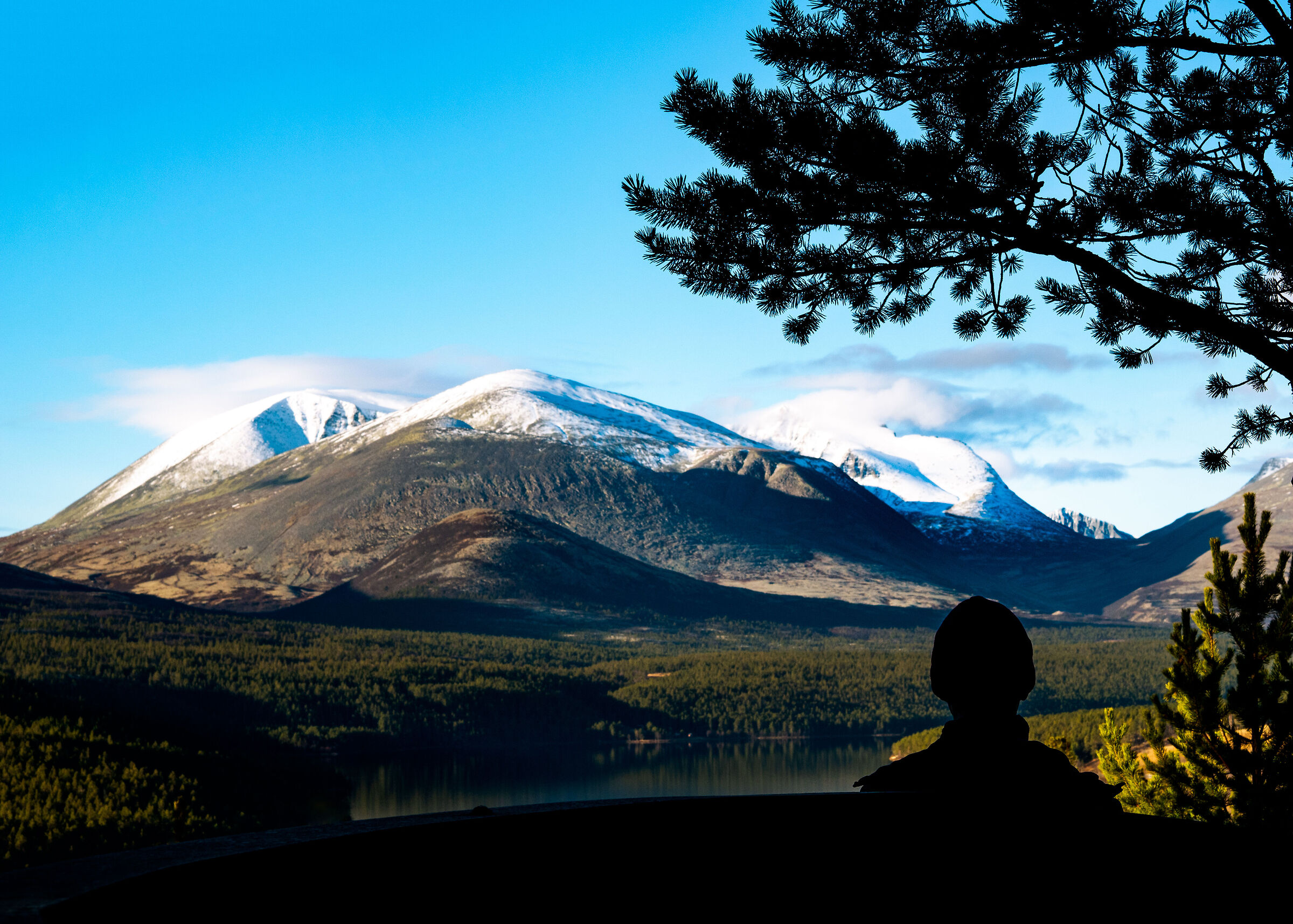 Rnp 01 Stop the Car!