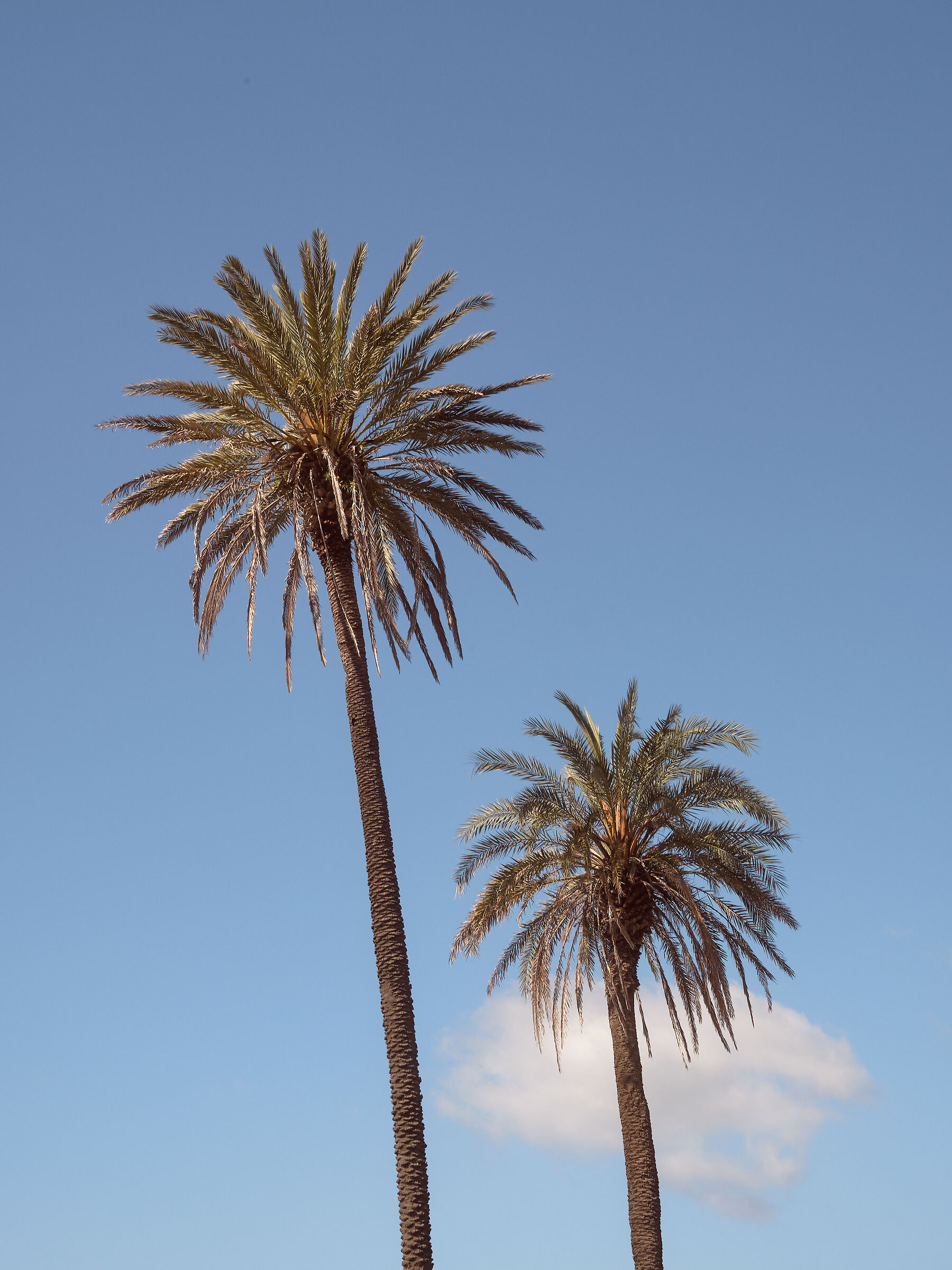 Untitled Photo