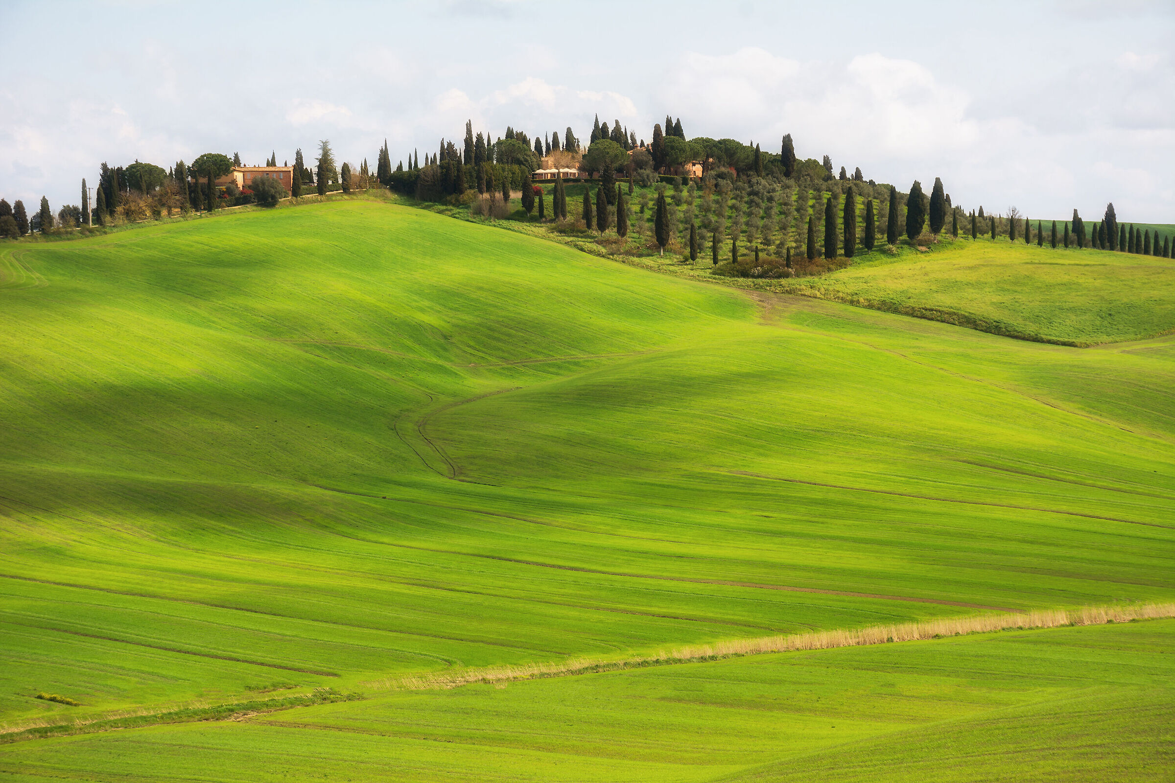 Le colline della Val d'Orcia