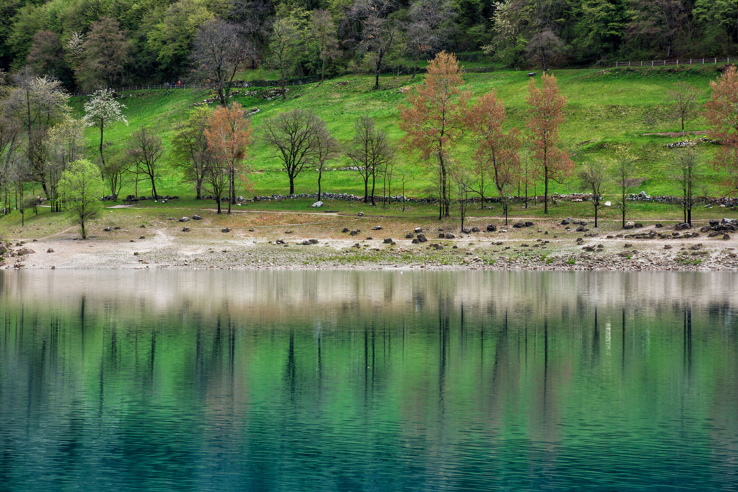 Riflessi al Lago di Tenno
