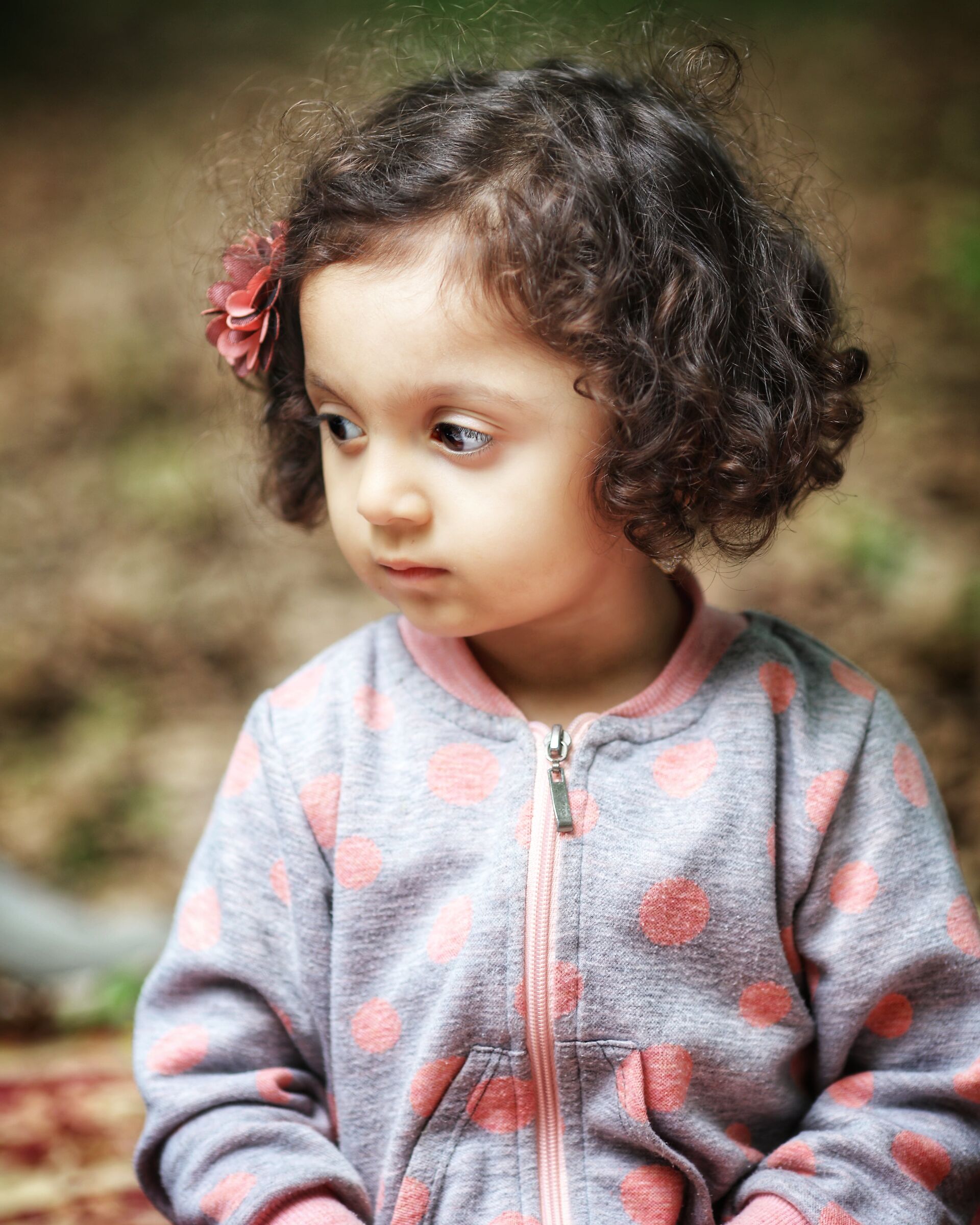 Obiettivo Canon 5DSR 135 f2