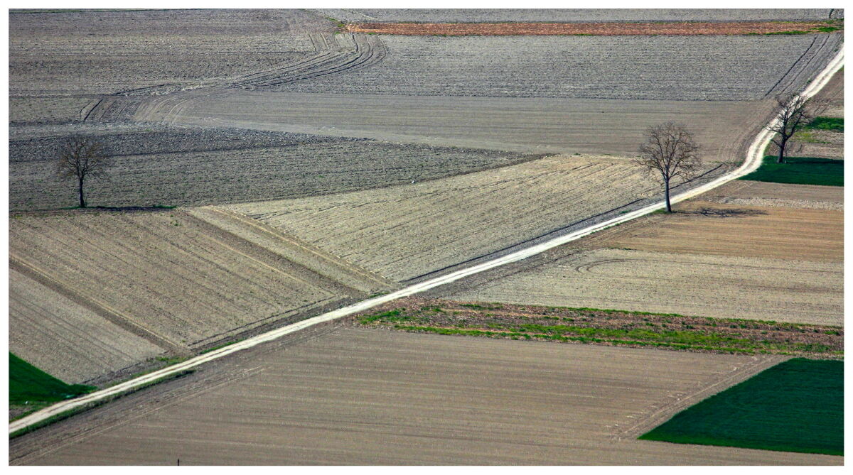 Geometries of the Piedmontese plain