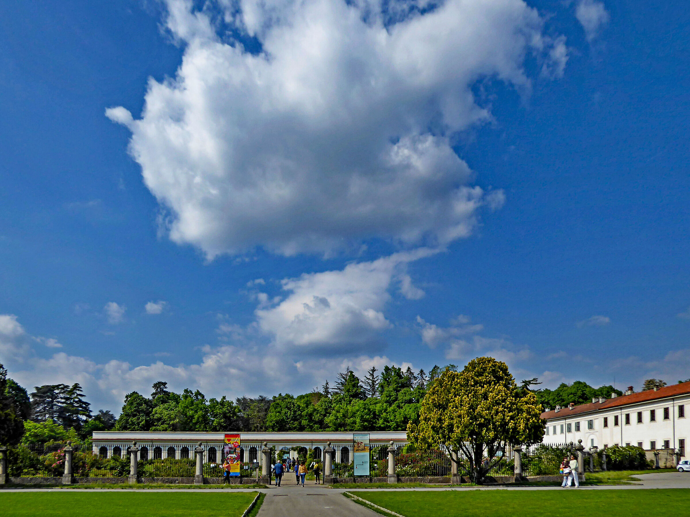 Rose garden of the Royal Villa of Monza