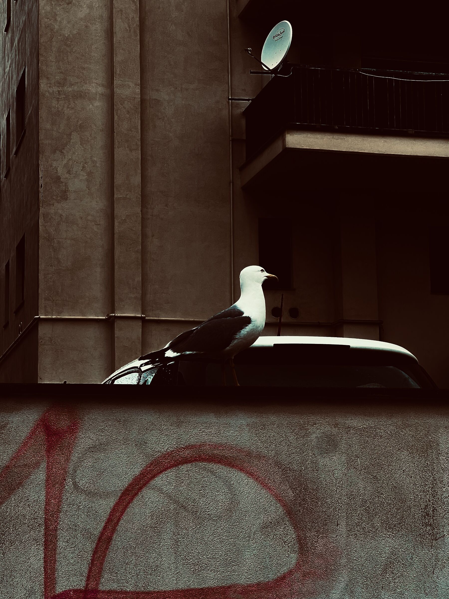 Sguardi persi nel vuoto