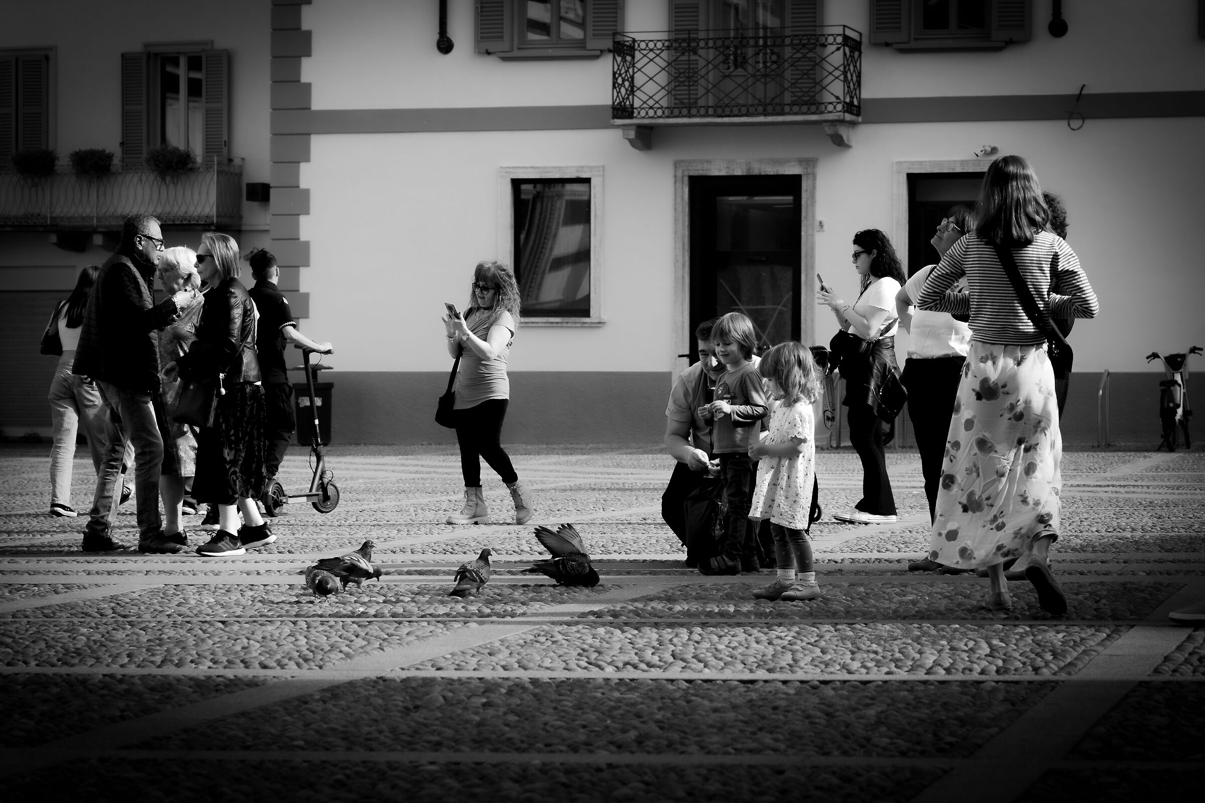 Feeding pigeons