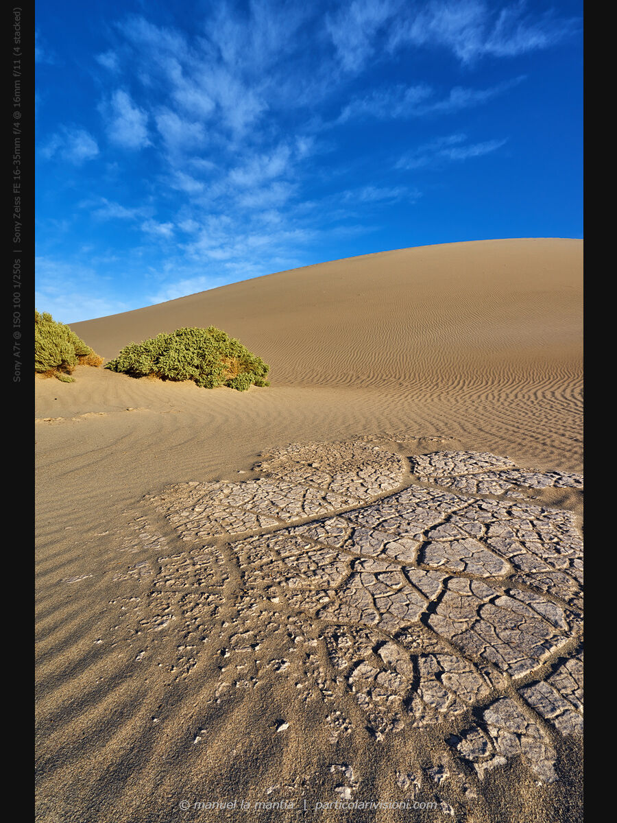 Death Valley - Sand Dunes