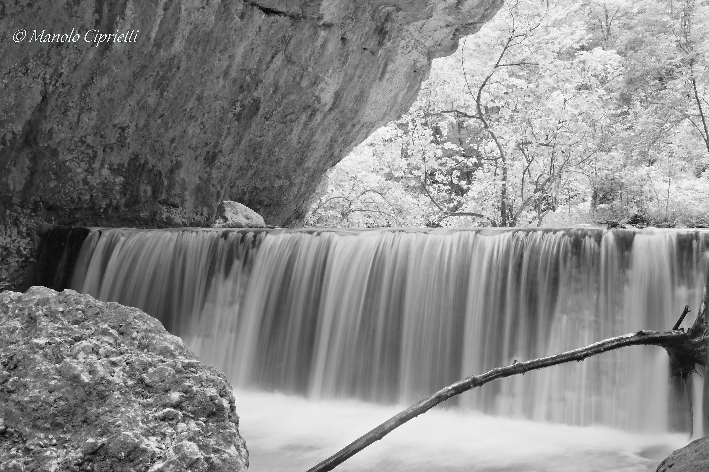 Pien di spuma - Froth forth
