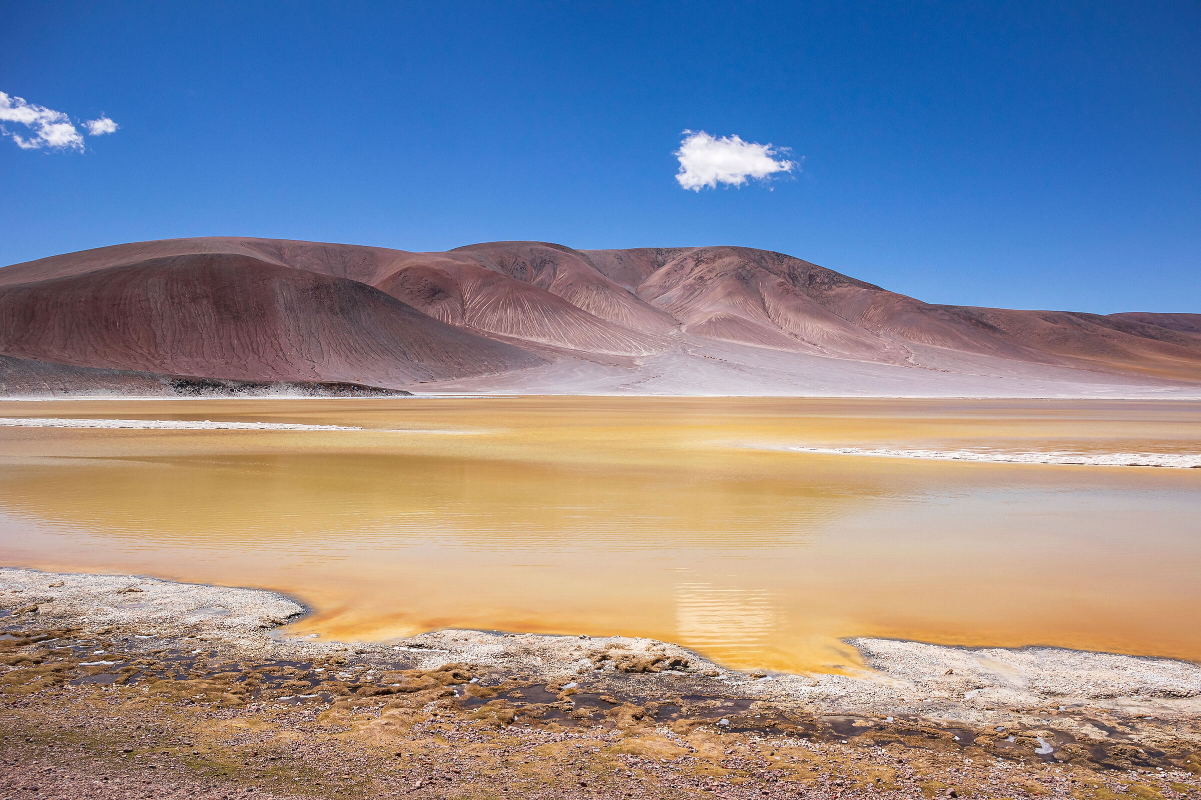 Argentina.Puna-Laguna Colorada