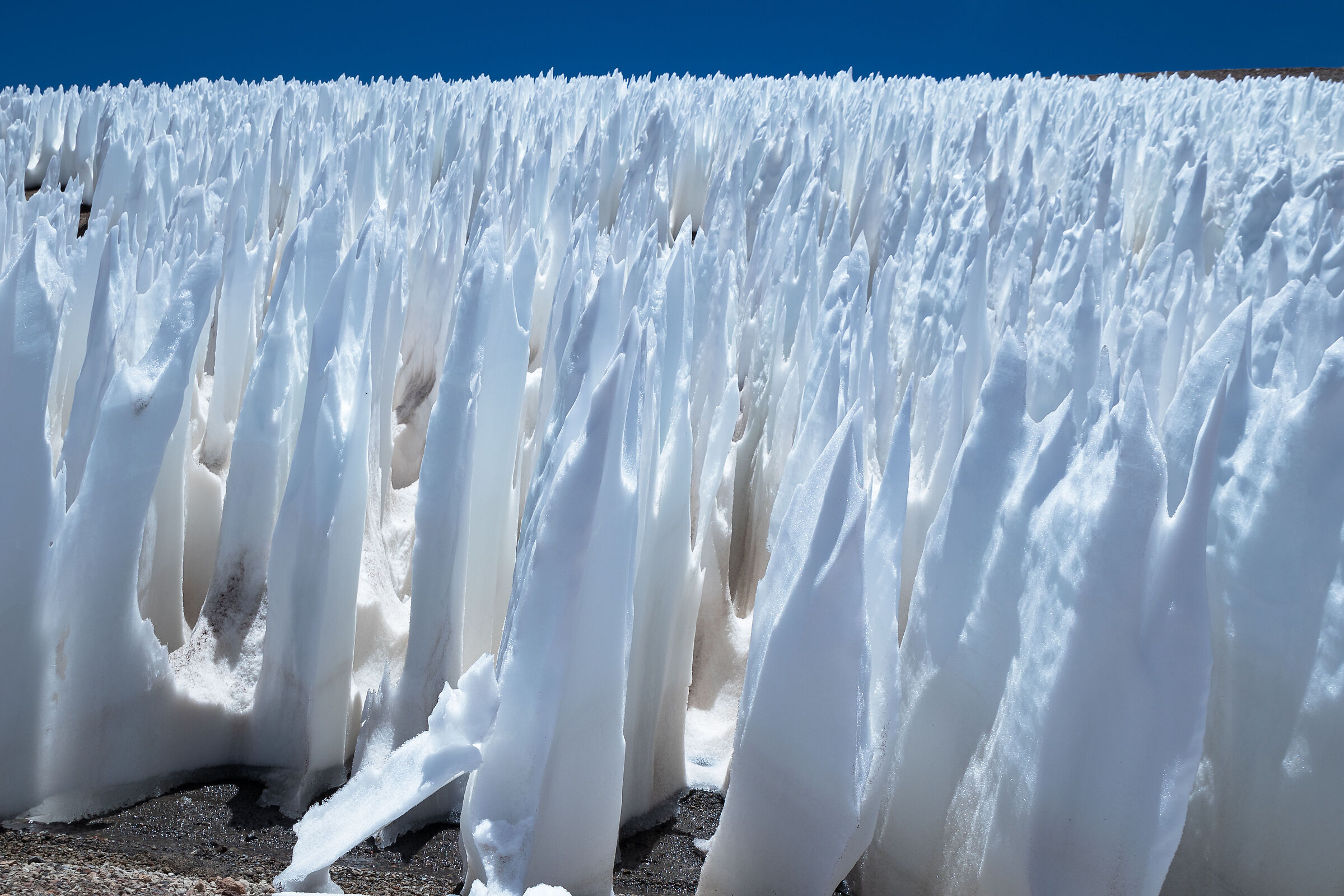 Argentina.Puna-I penitentes
