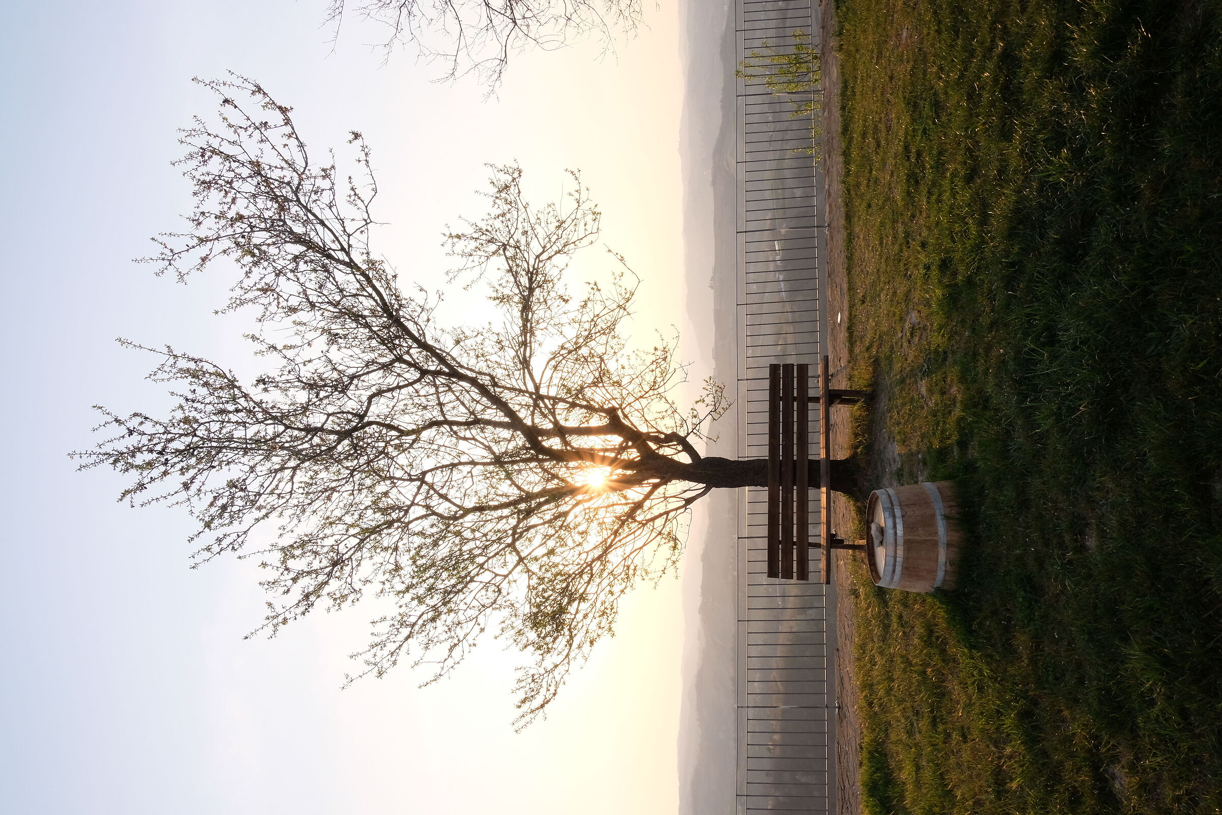 Ai piedi della torre