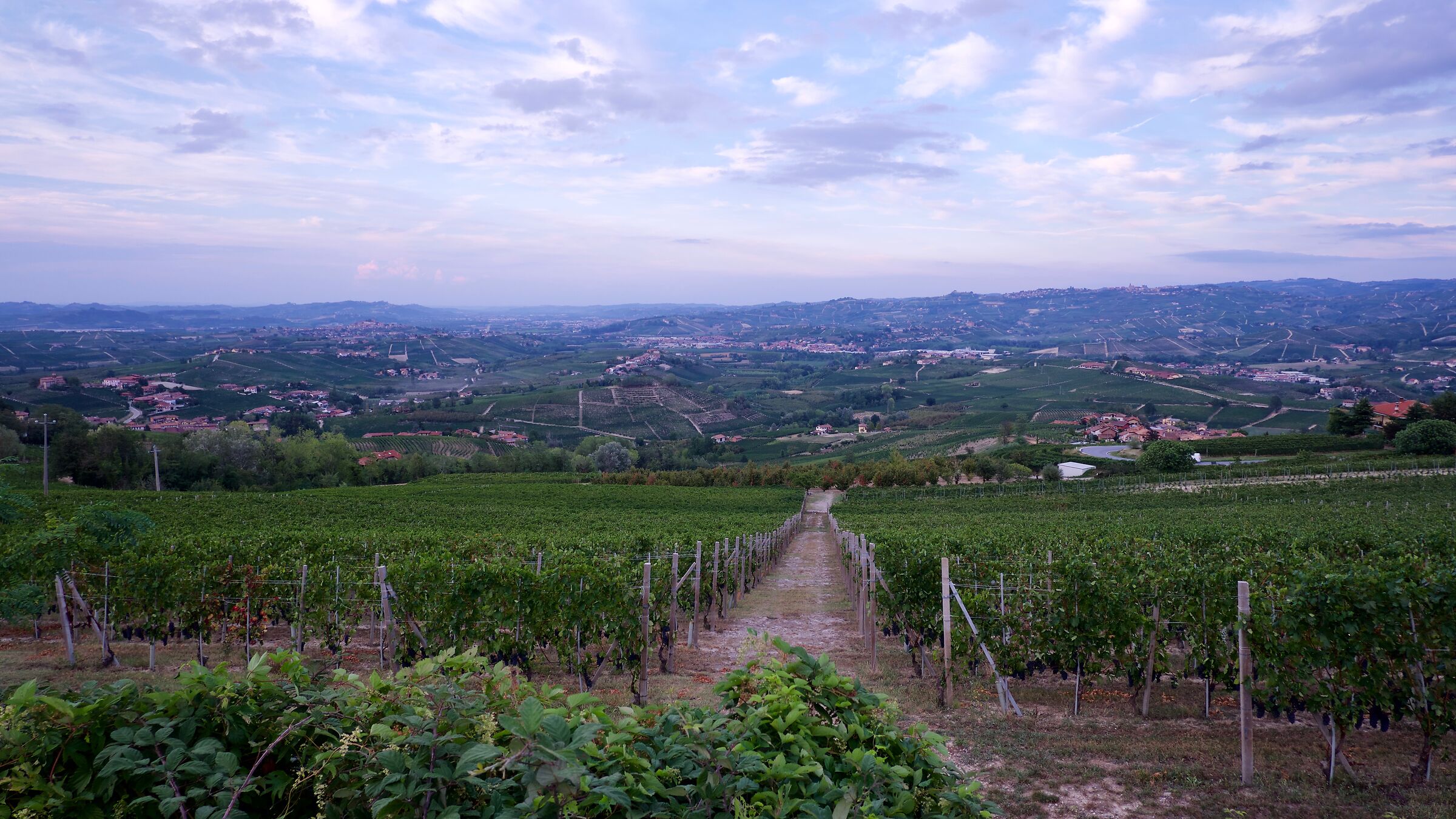 Do you want a glass of wine?