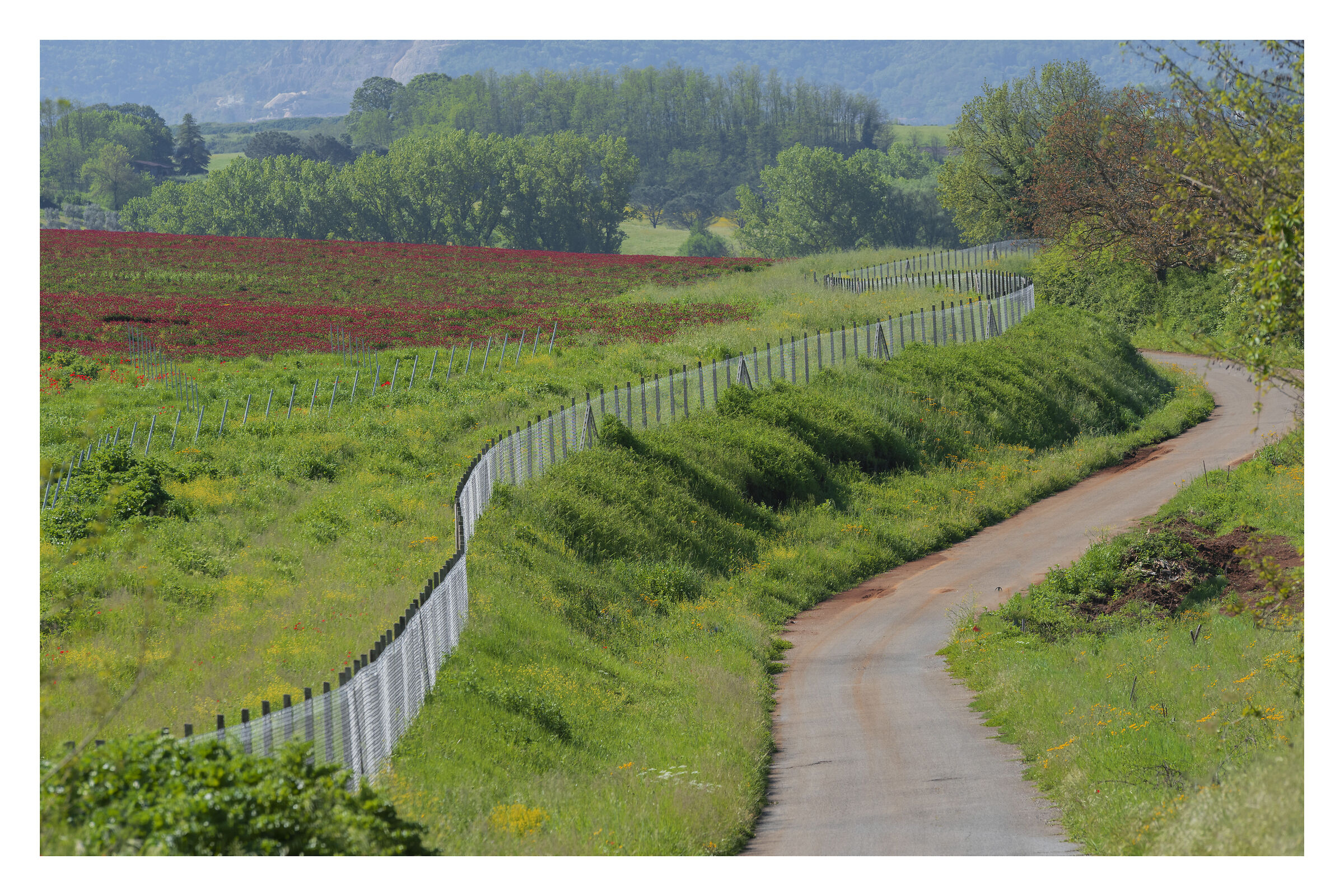 Di qui non si passa....