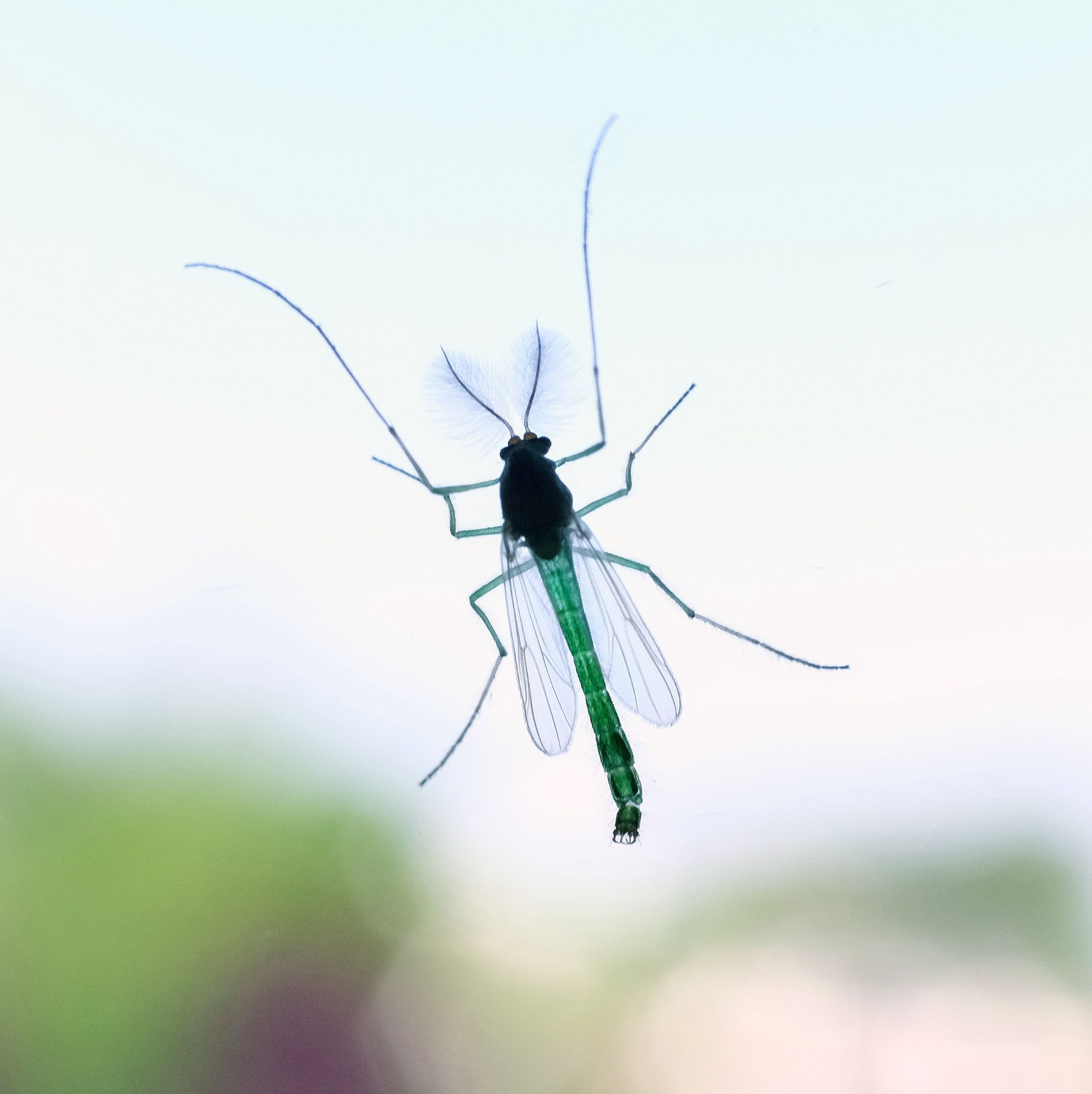 Prime prove con tubi di prolunga