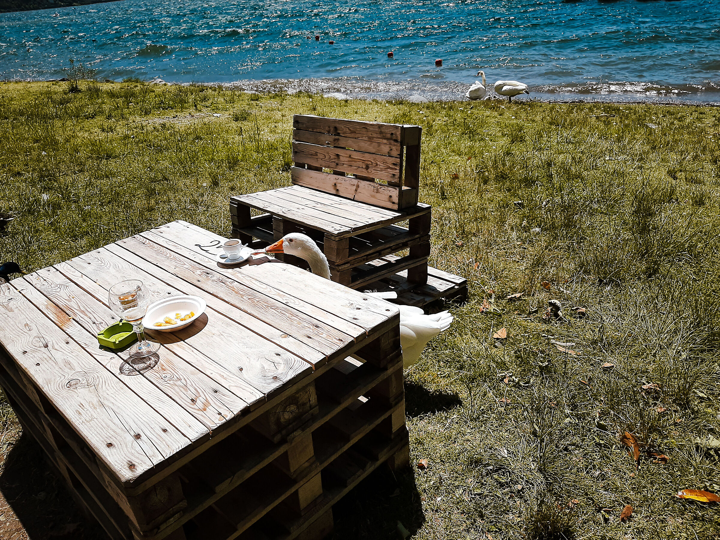 A coffee, thank you!!!