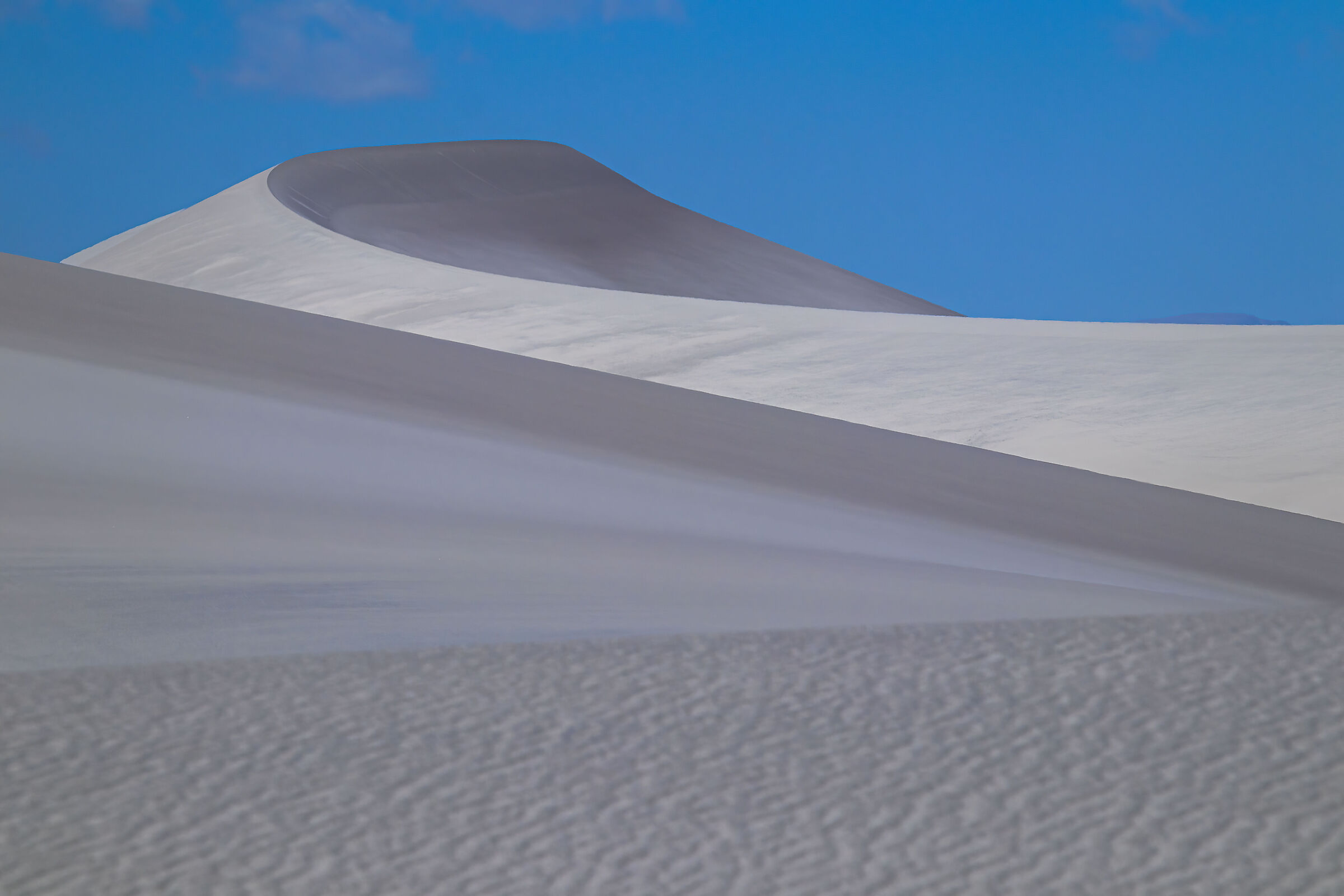 Argentina.Puna-Duna Blanca