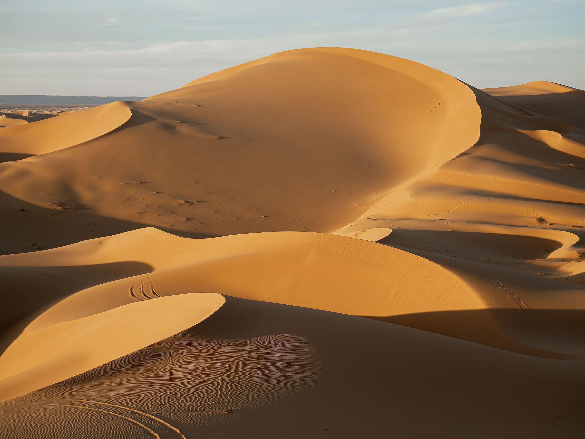 Algeria Duna Di Taghit