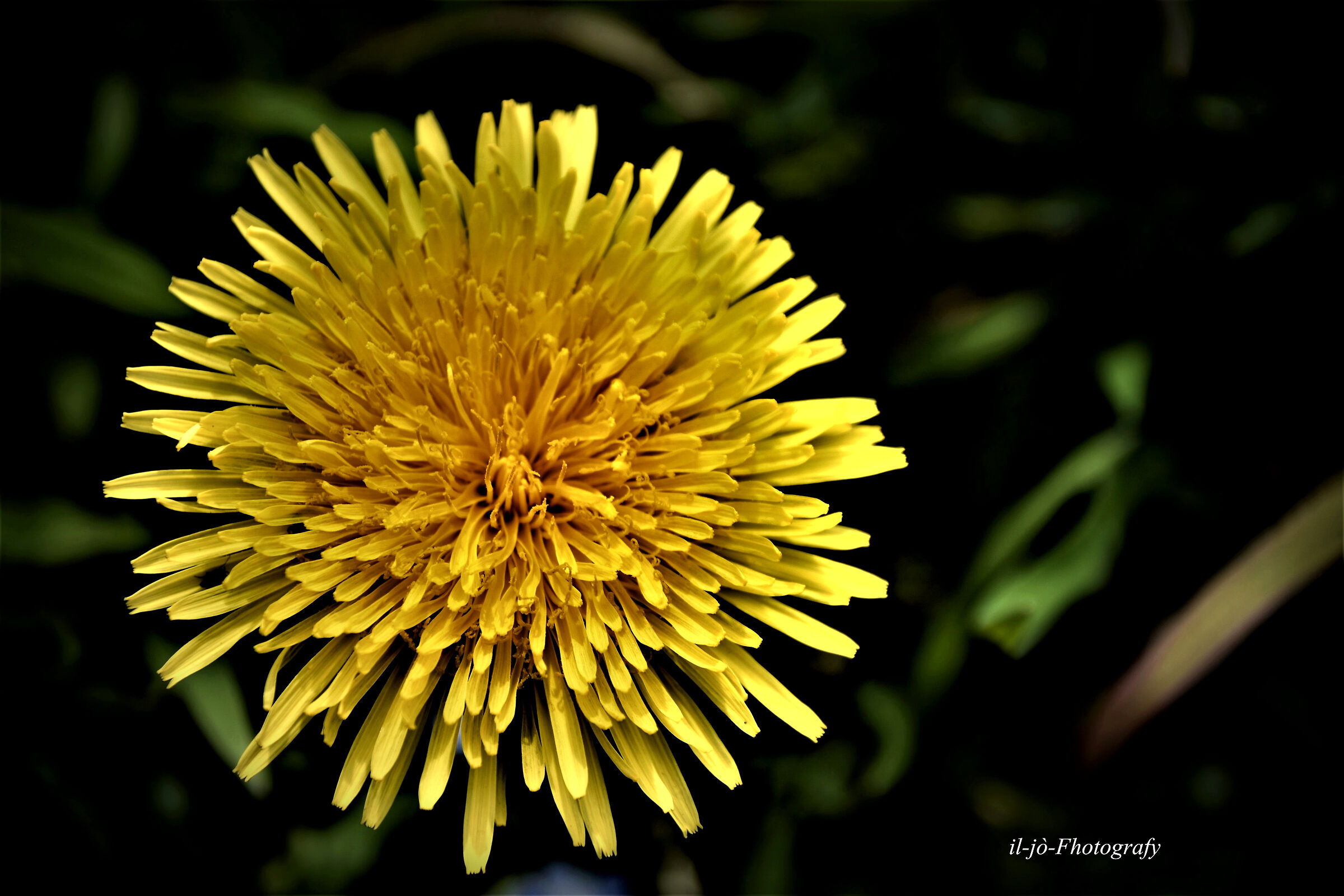 Untitled Photo
