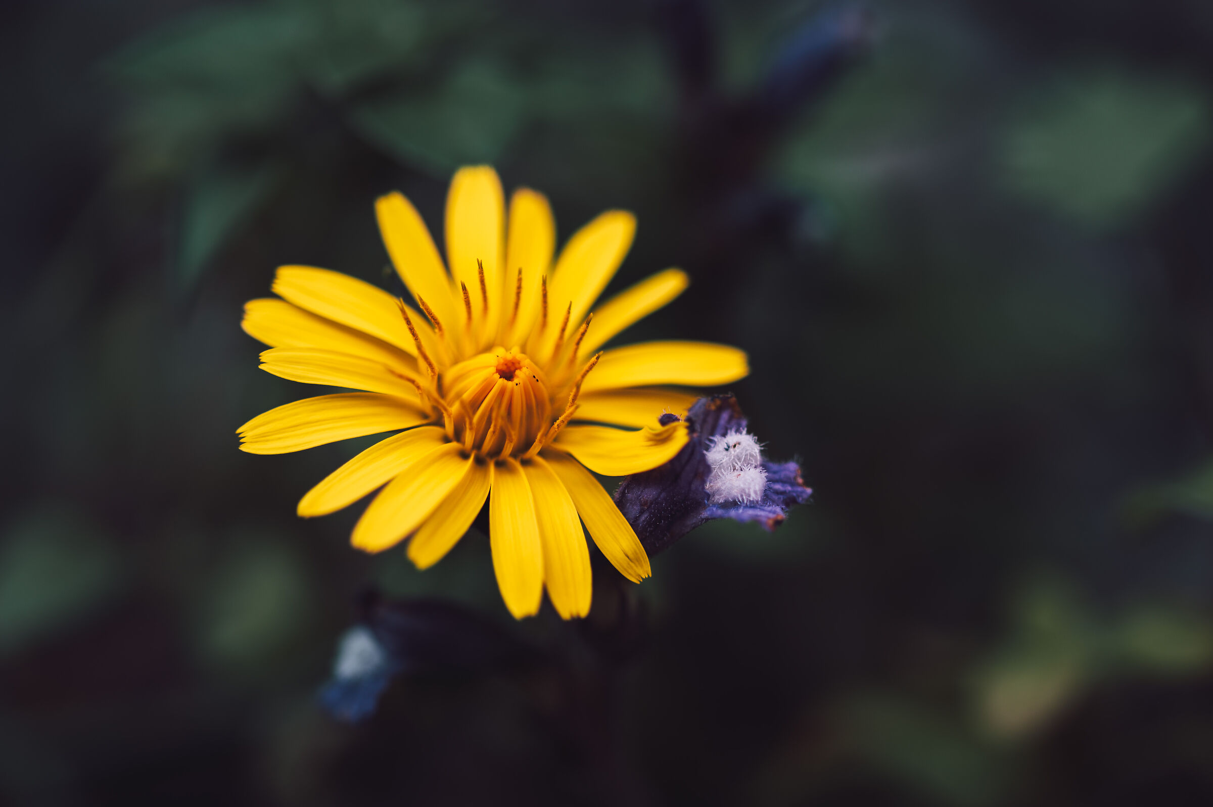 Untitled Photo