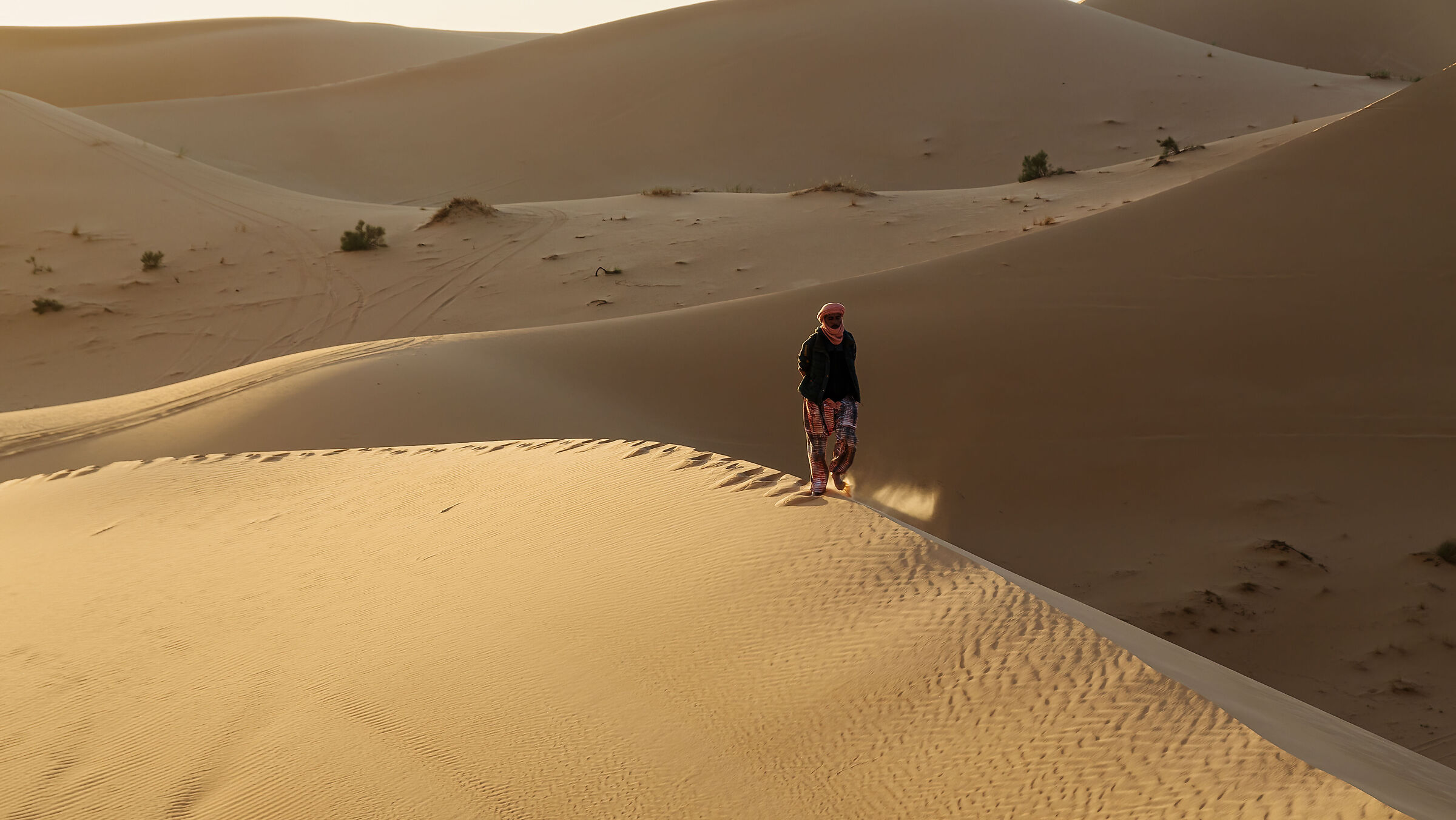 Algeria Taghit.