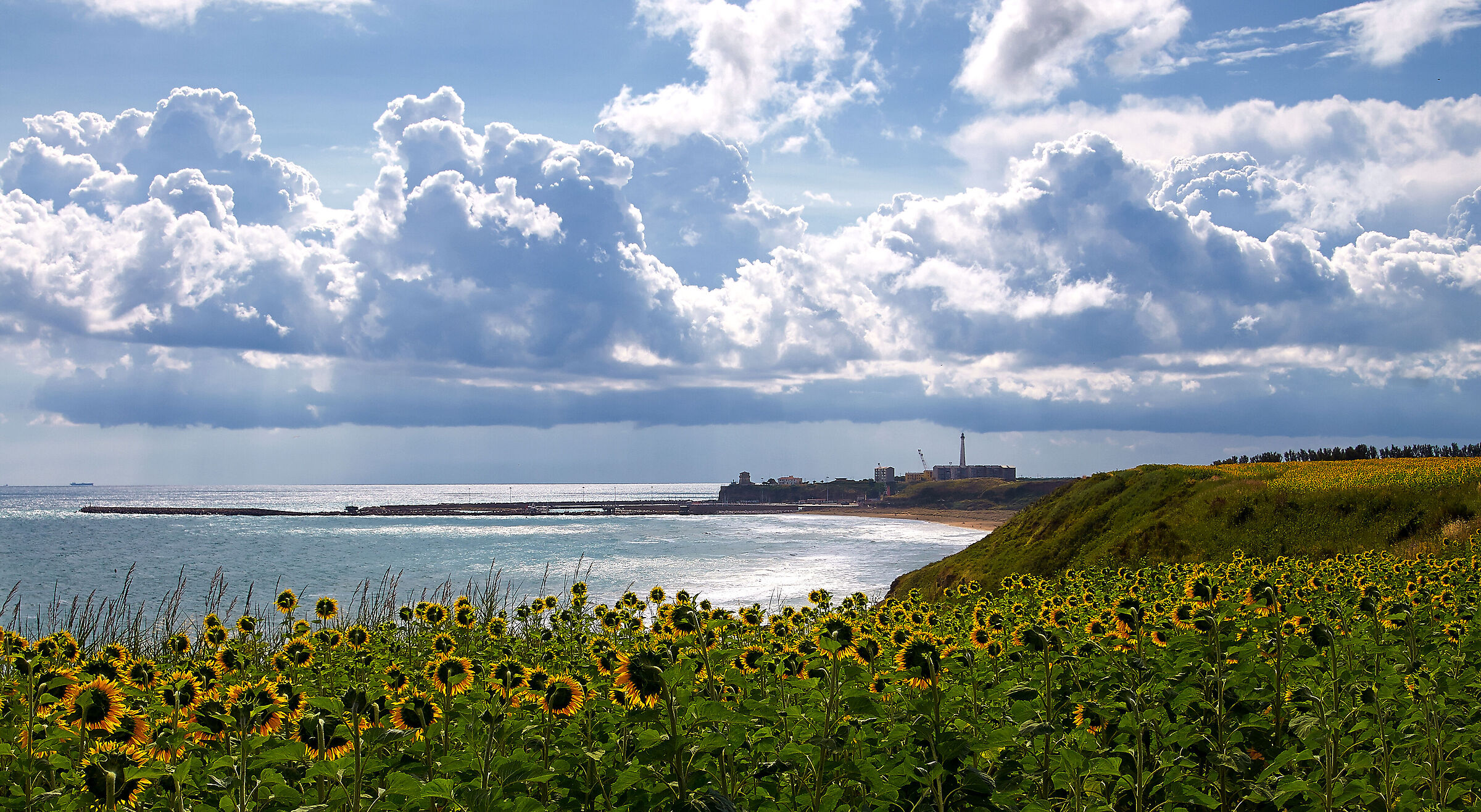 Punta Aderci panorama sul porto di Punta Penna