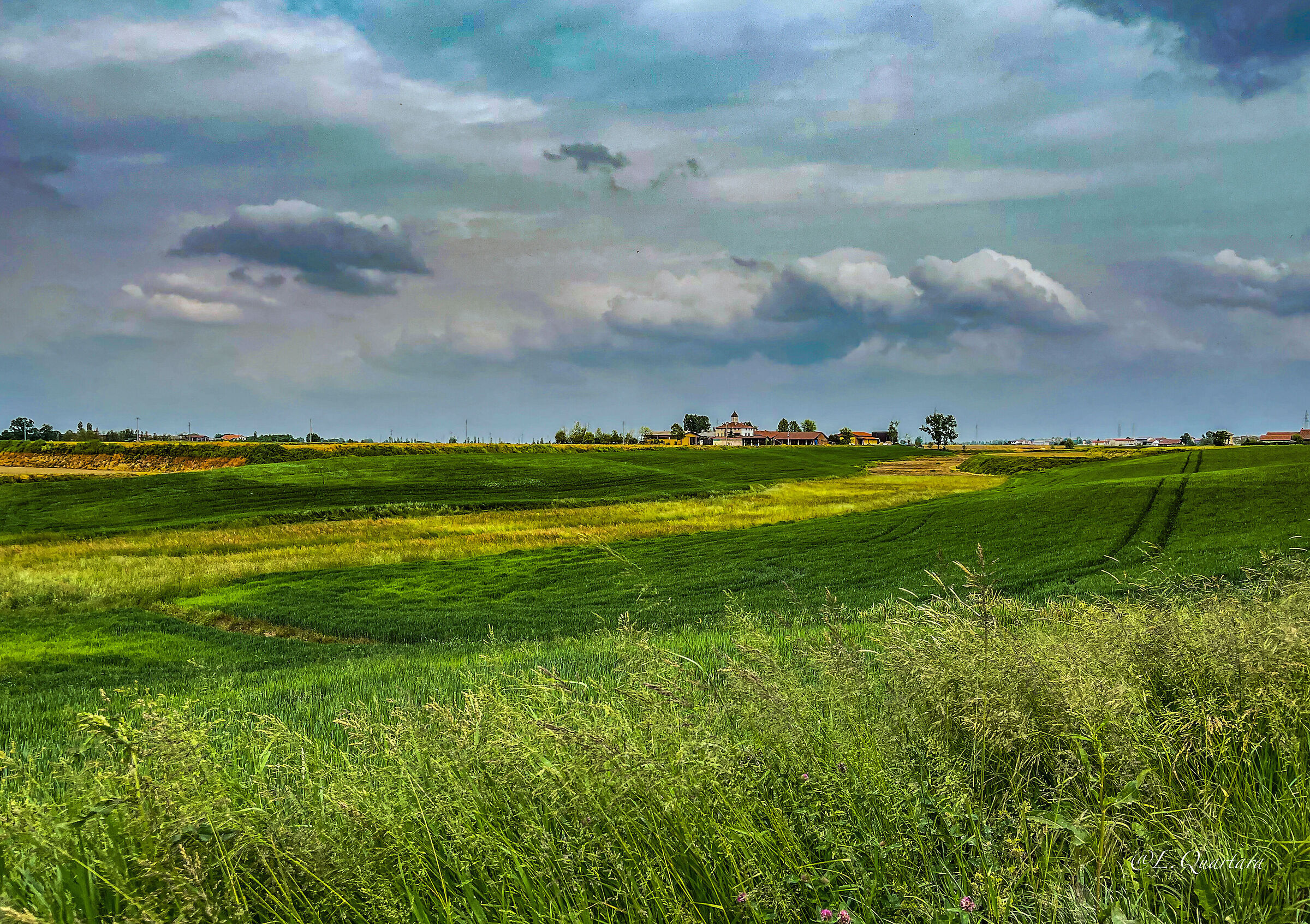 Paesaggio novarese