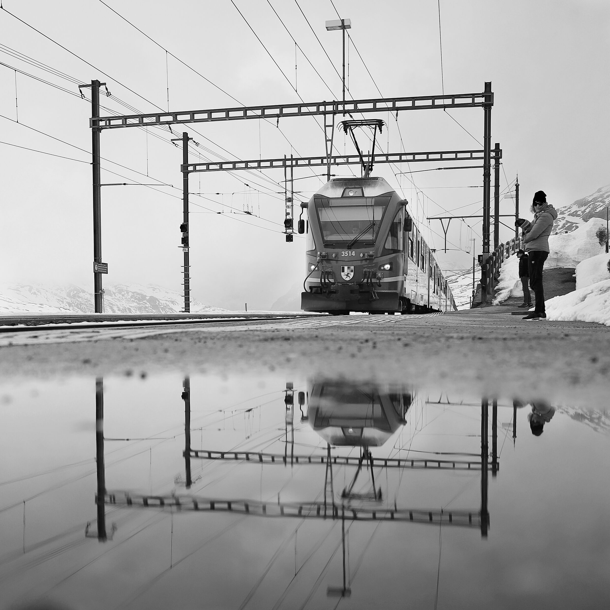 The puddle