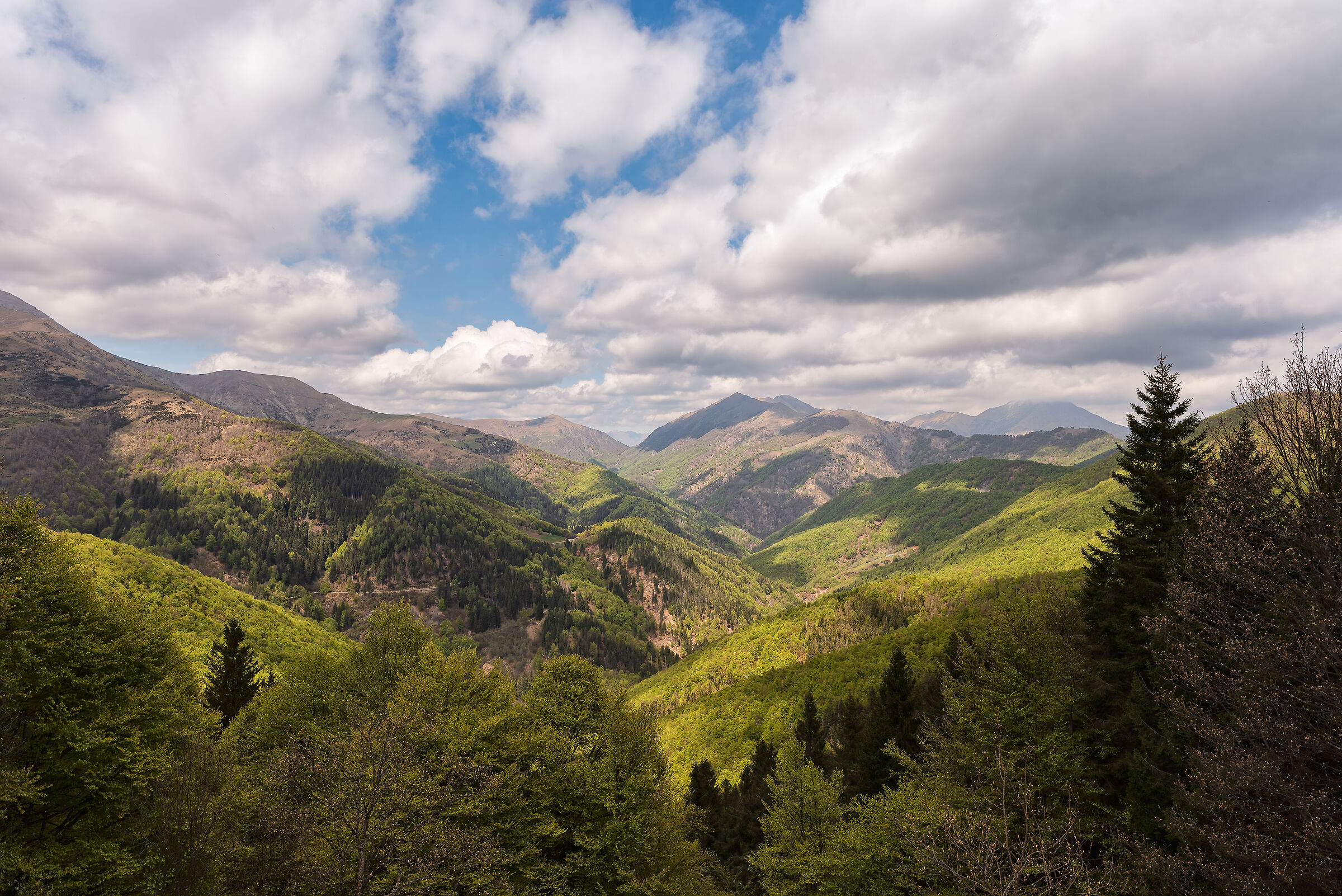 Panorama at Oasi Zegna
