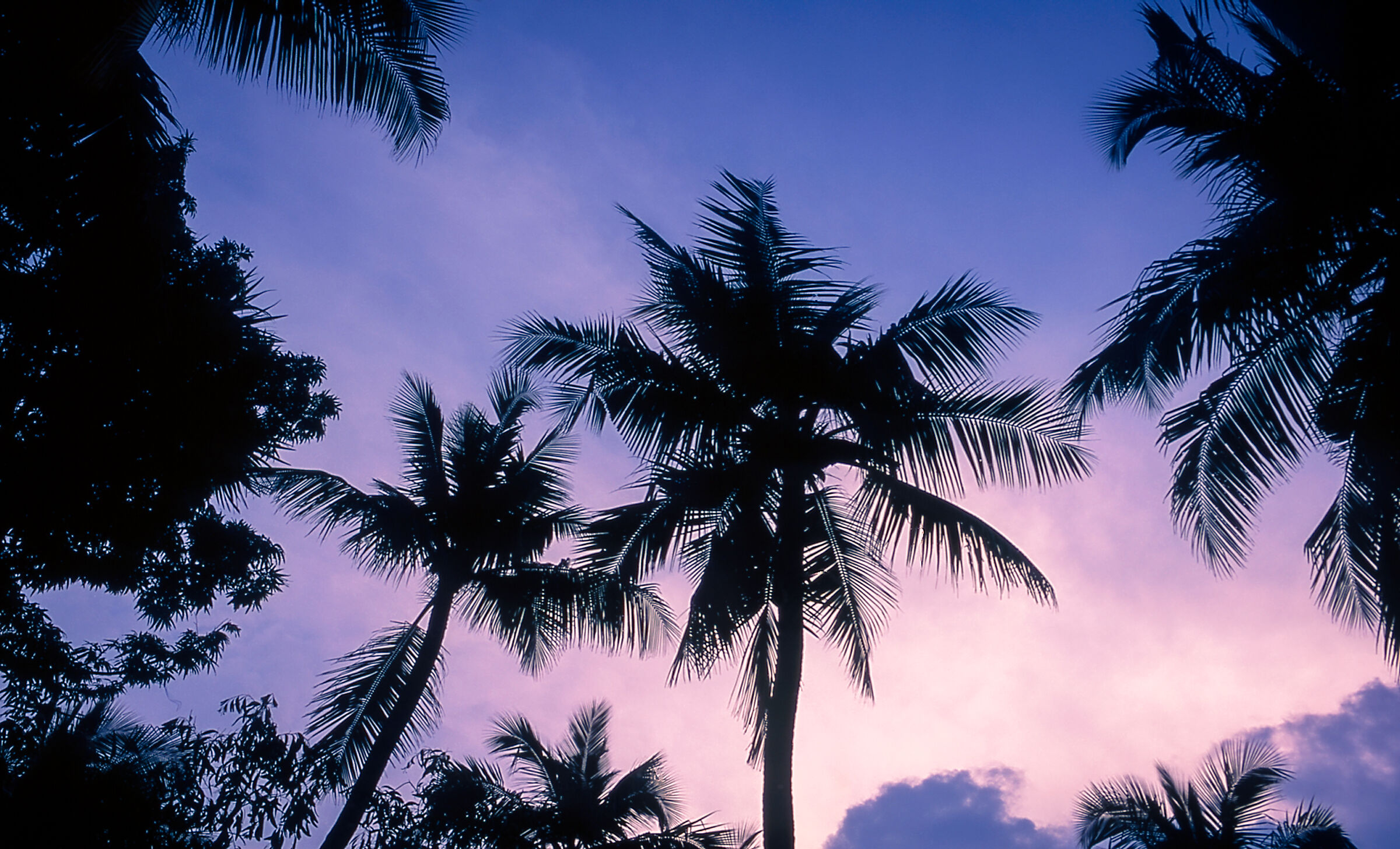 Tropical sunset - Kerala