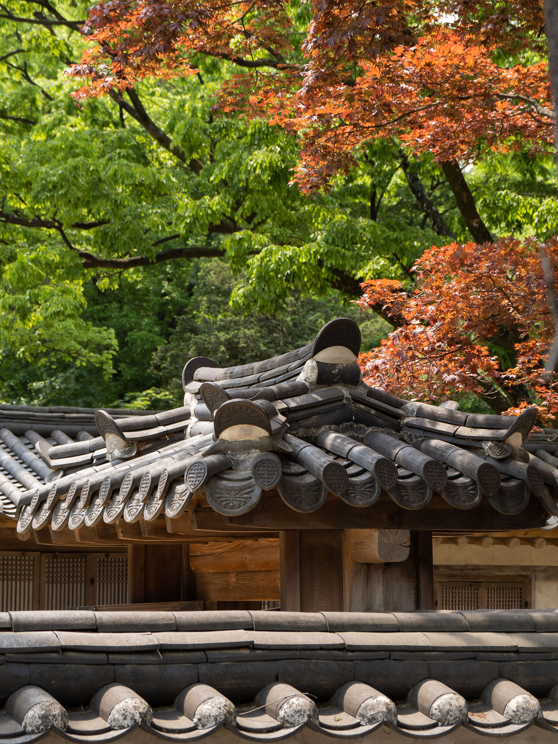 Changdeokgung palace - Secret garden #2