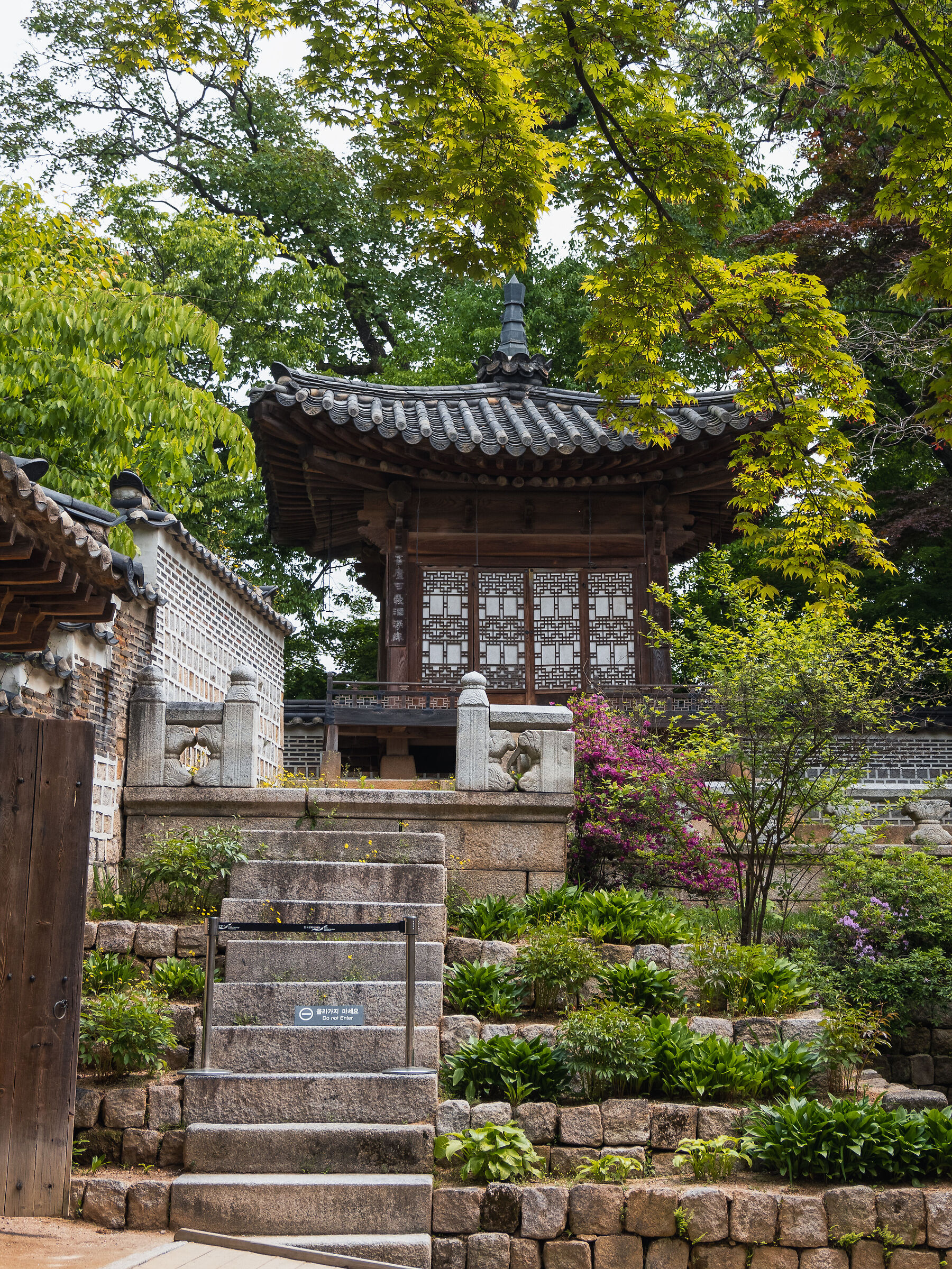 Changdeokgung palace - Secret garden #3