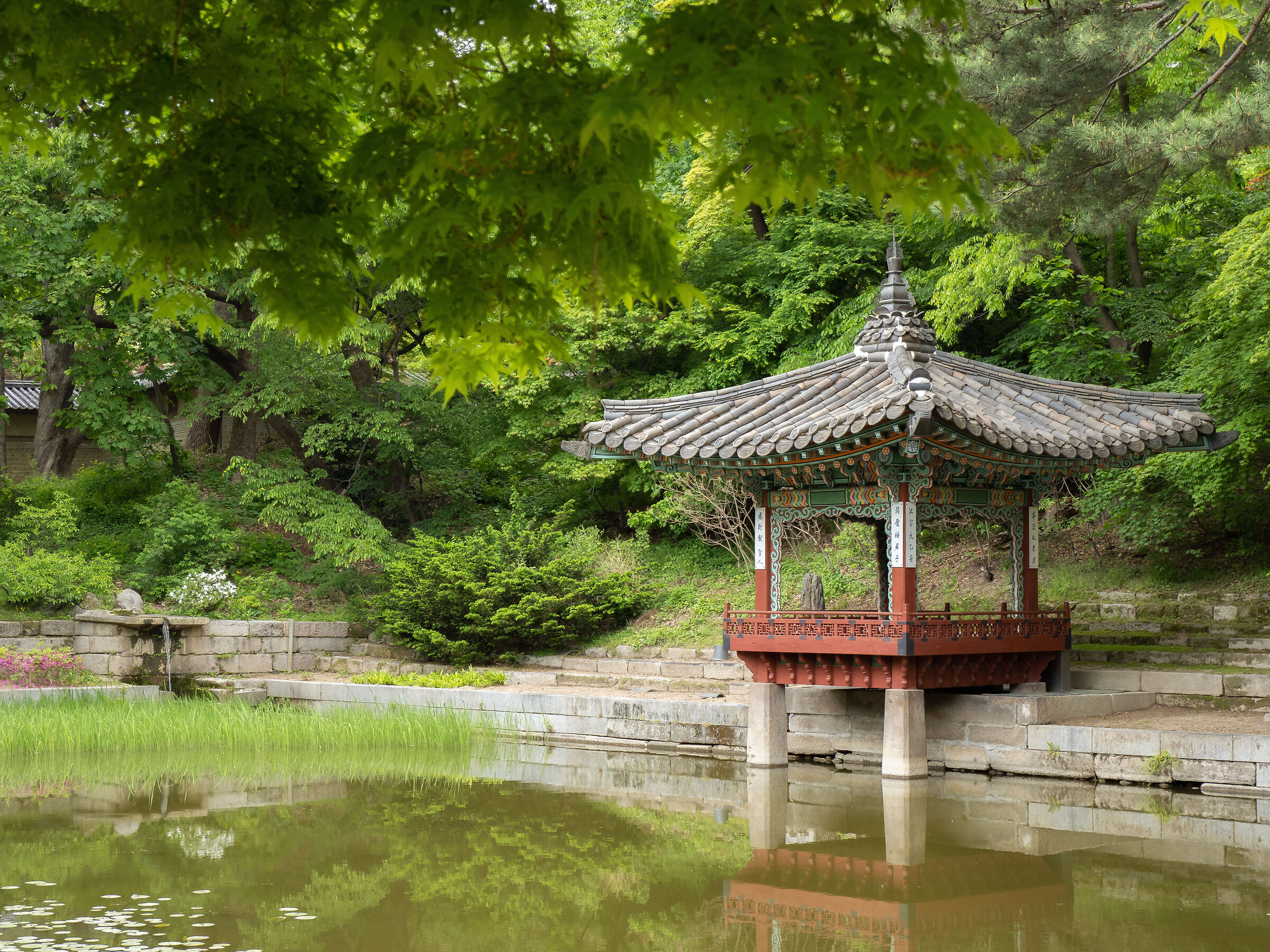 Changdeokgung palace - Secret garden #4