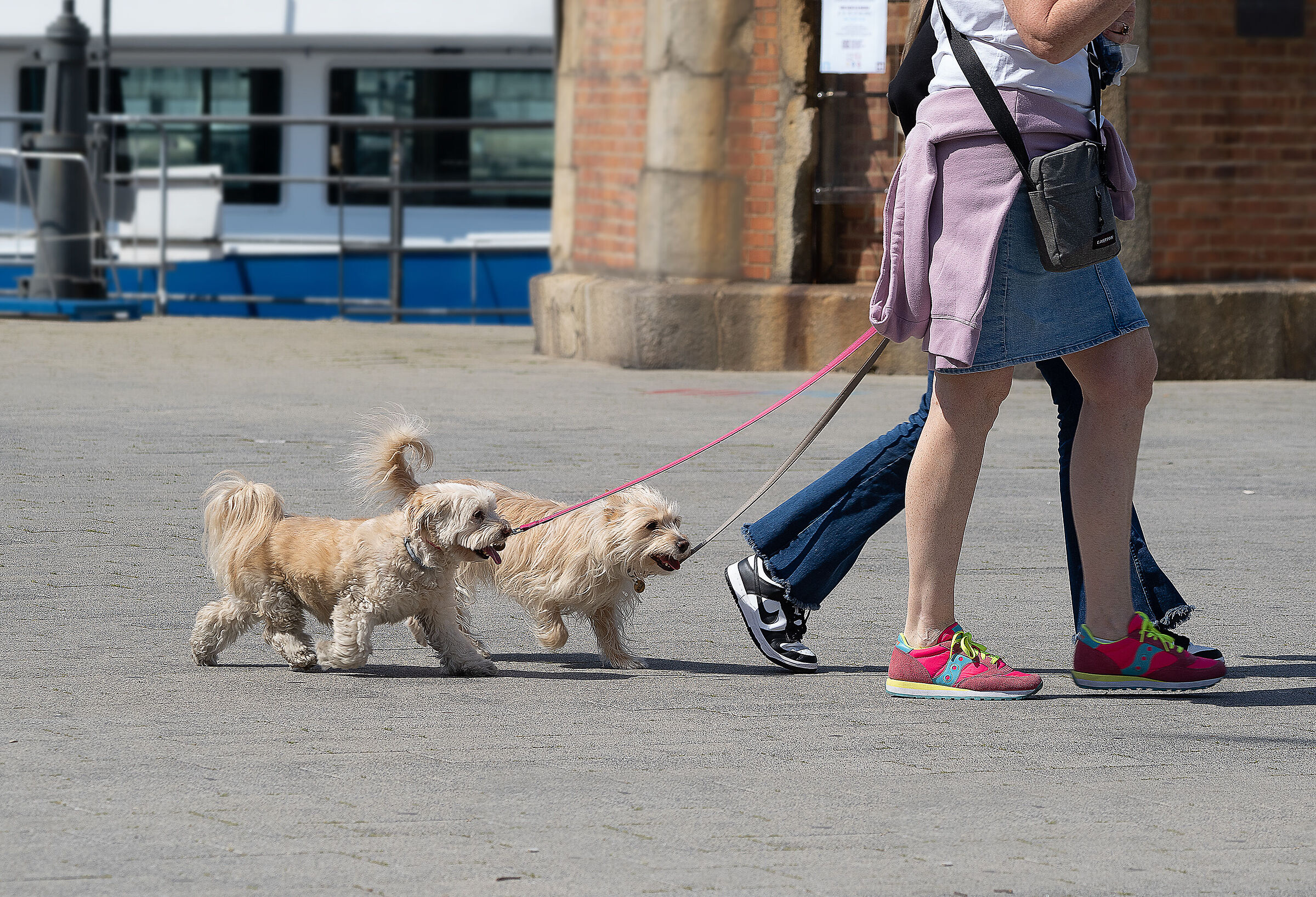 Walking with the hosts