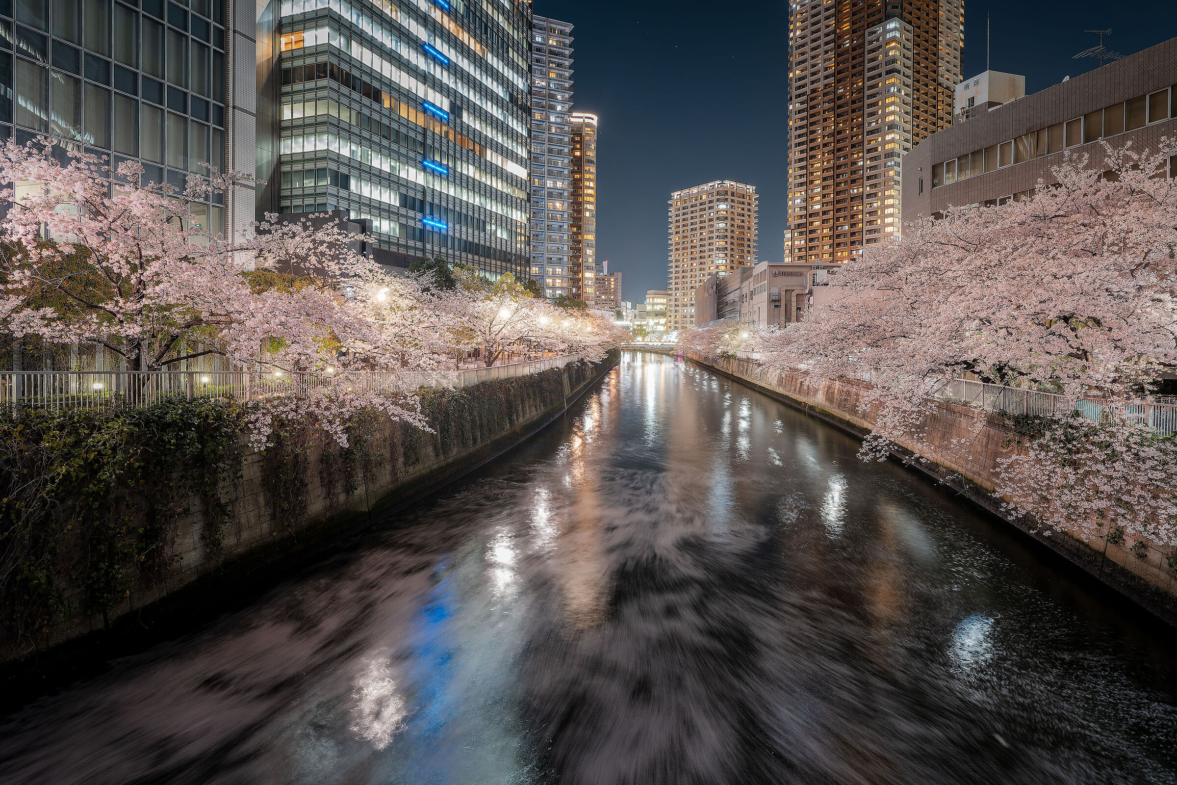 Meguro River