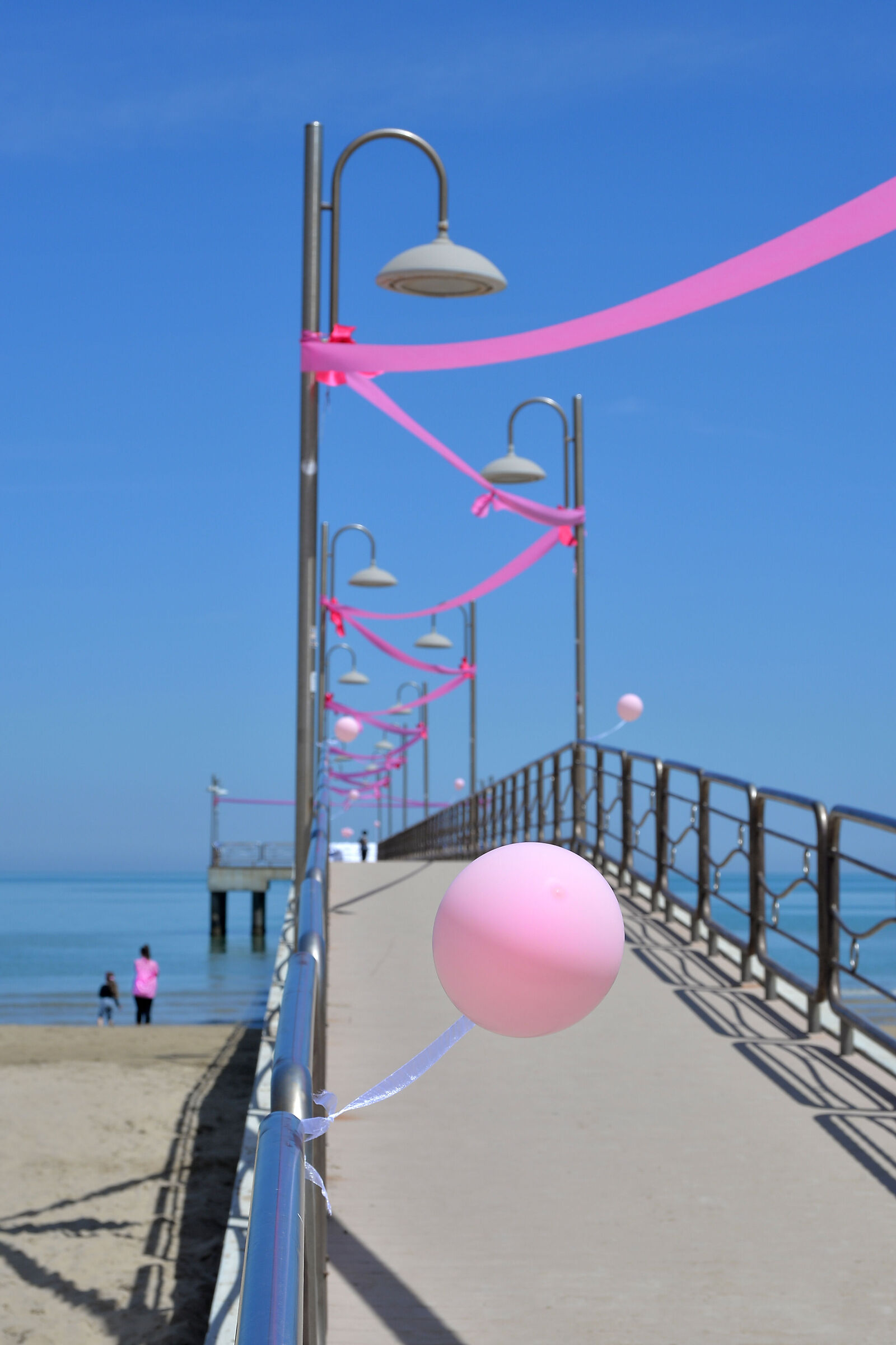 La vie en rose