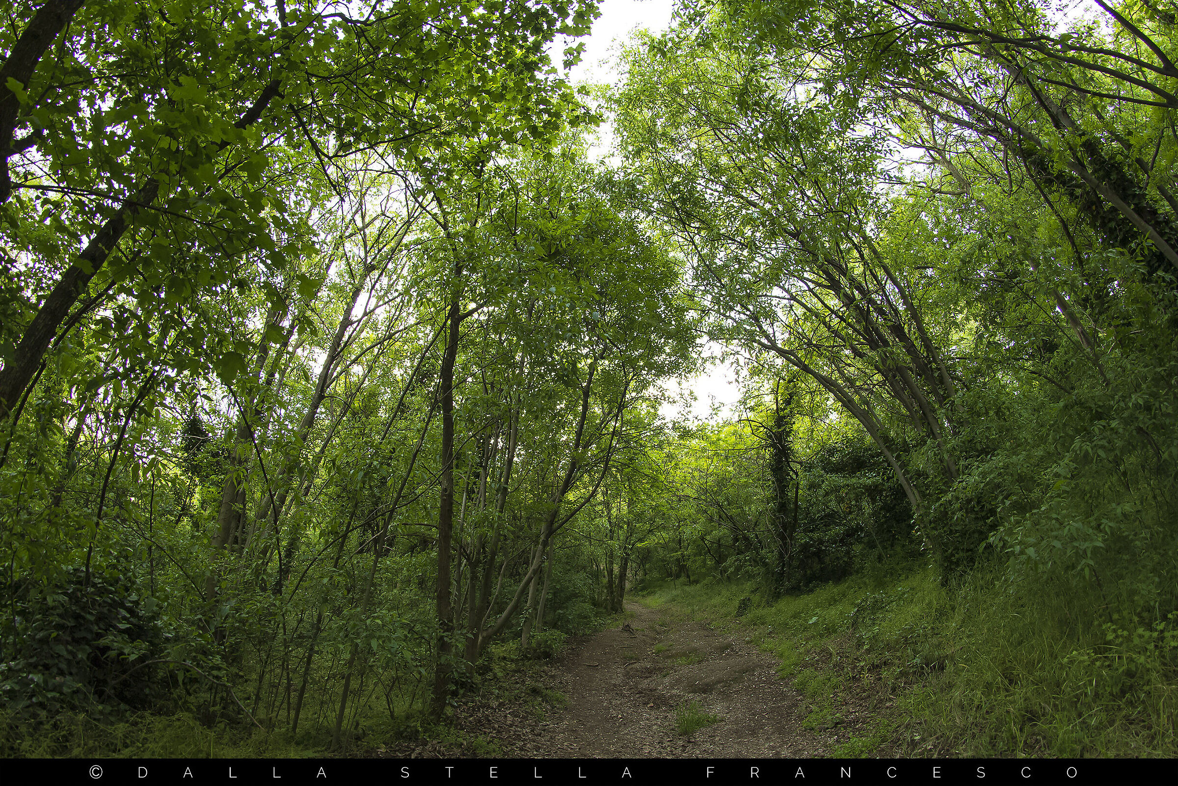 Surrounded by greenery
