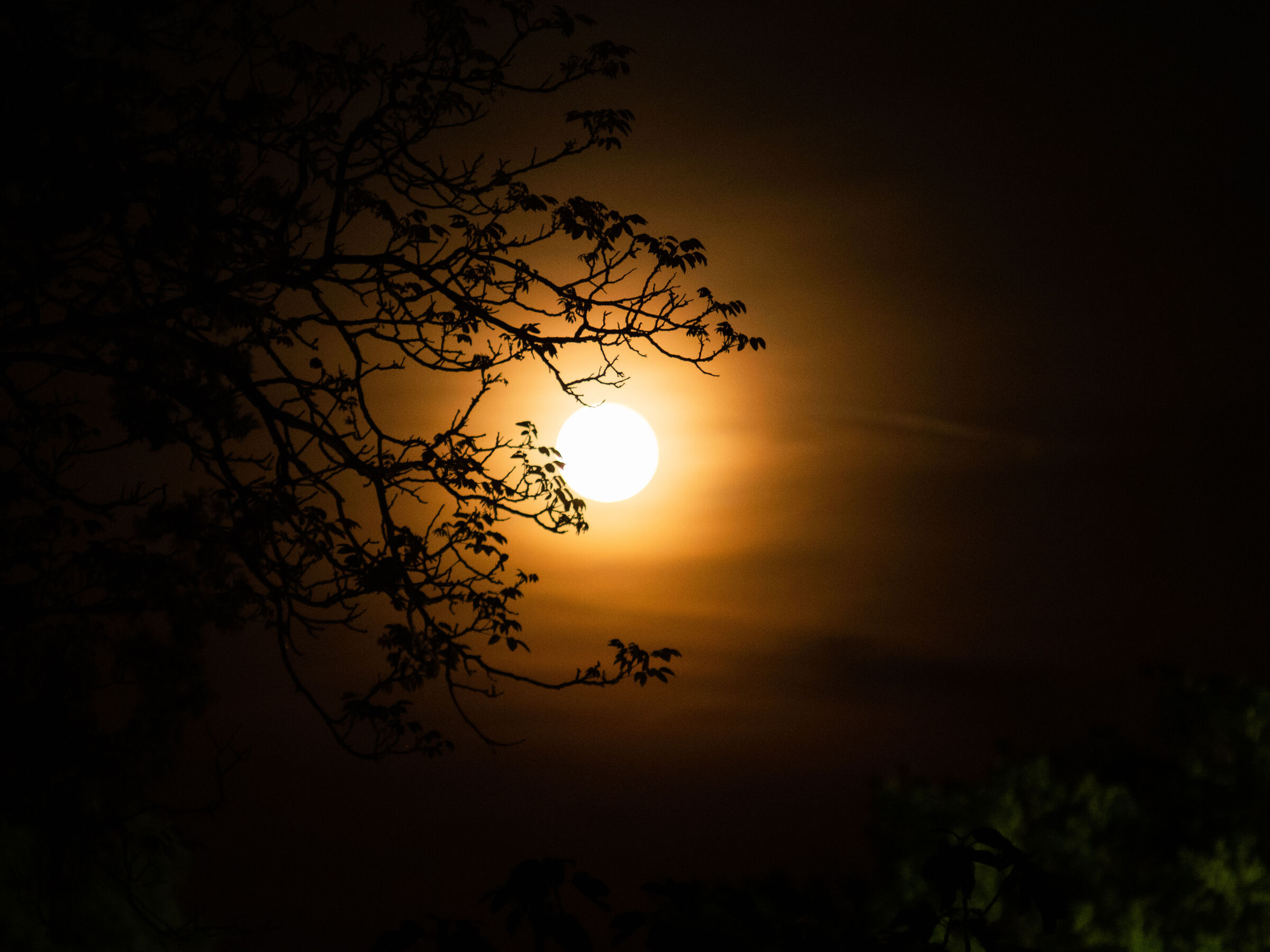Midnight sun