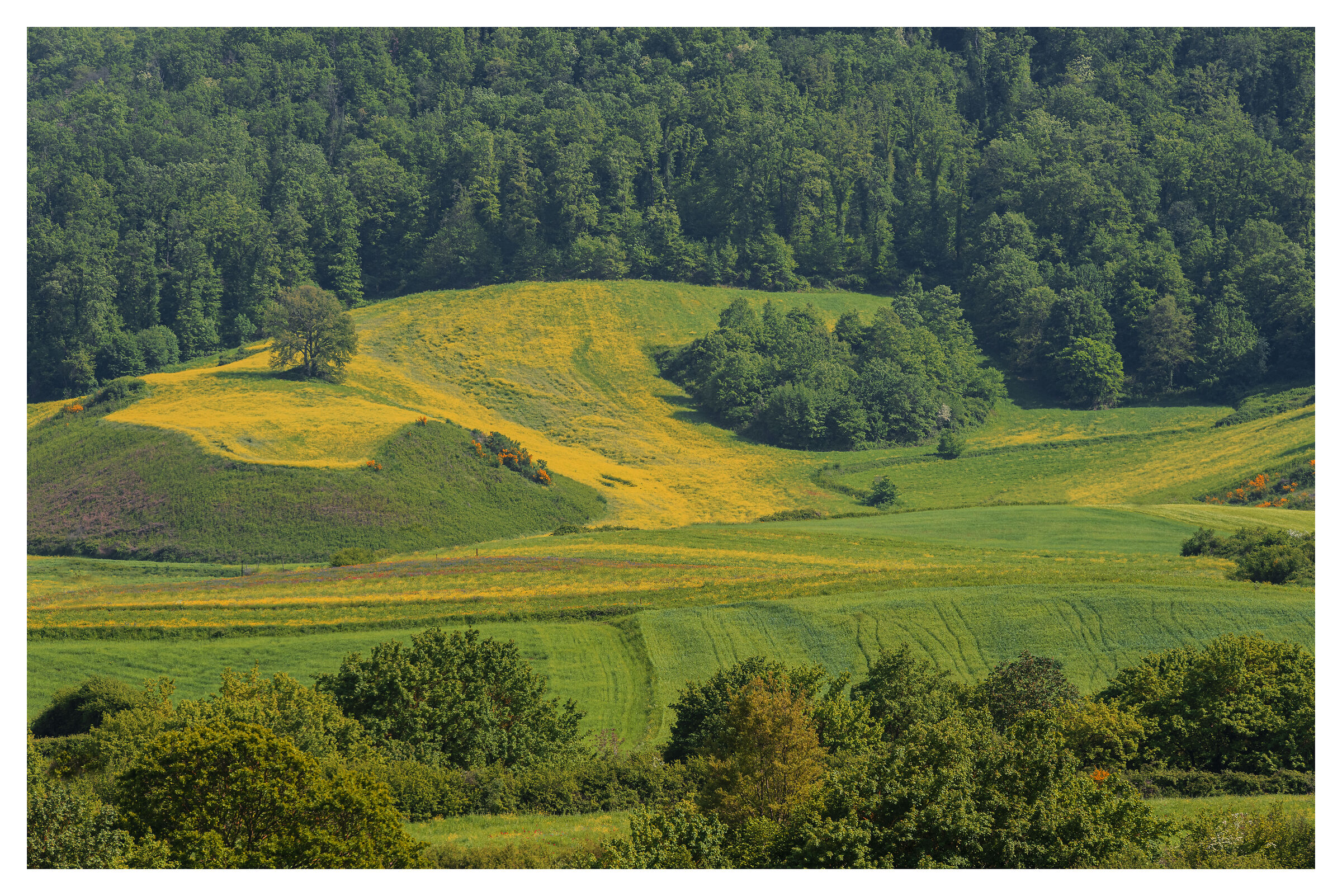 Tra boschi e coltivazioni
