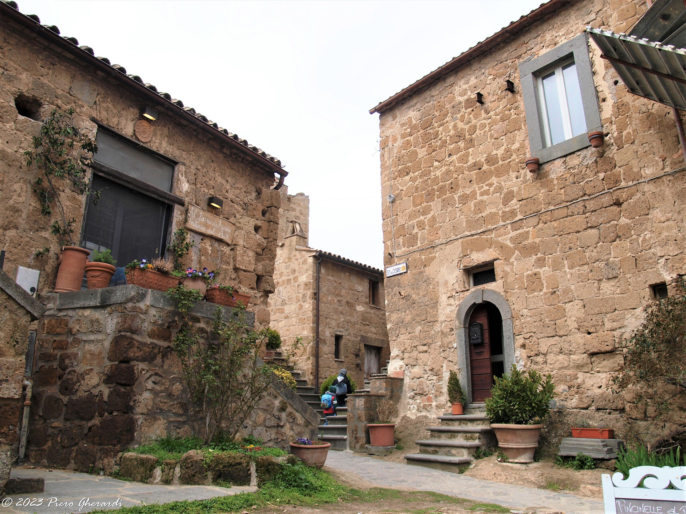 Viaggi